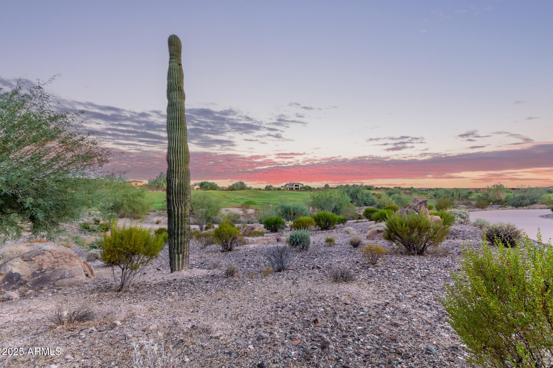 11707 W DOVE WING Way