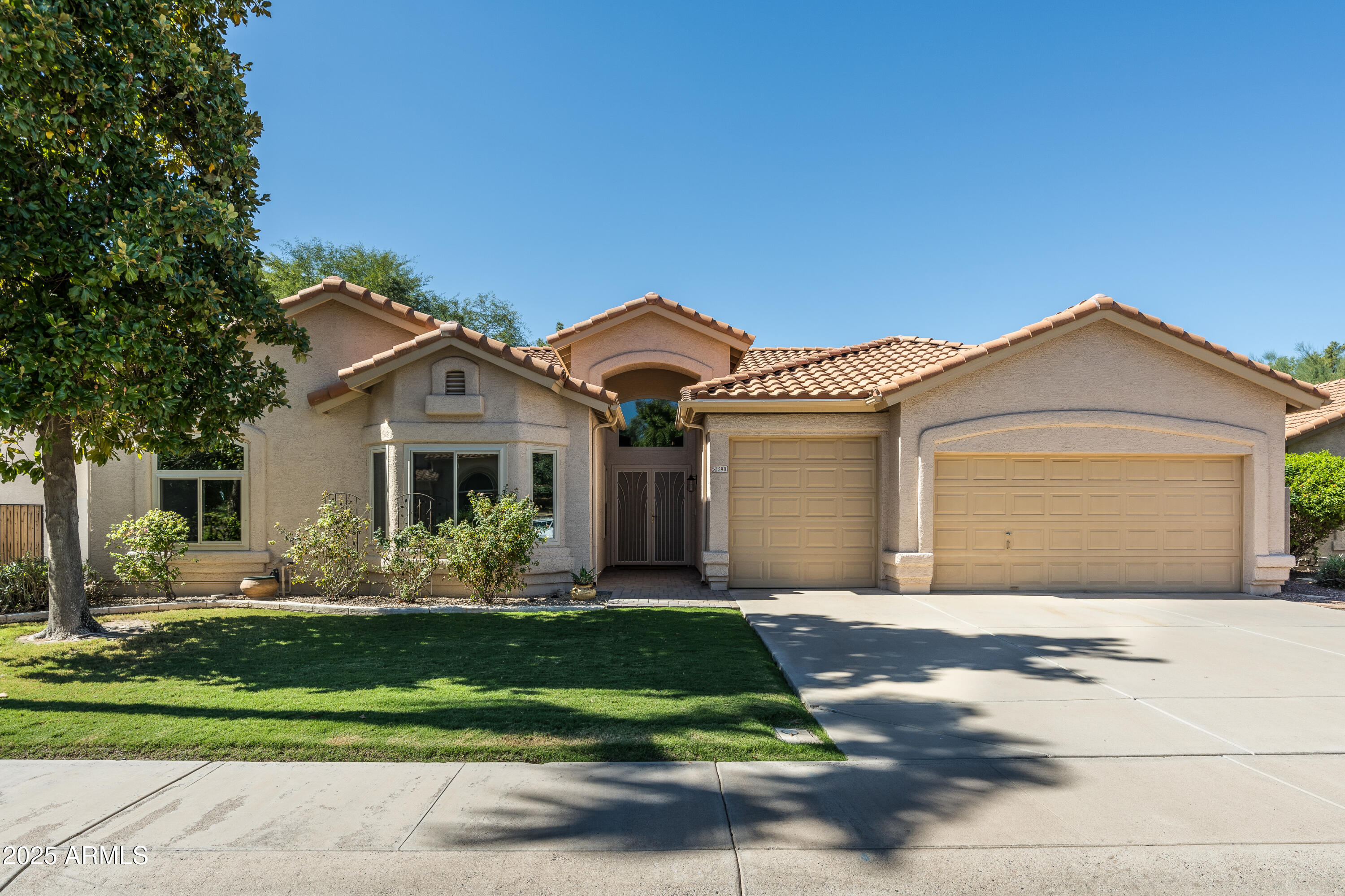 590 N CHOLLA Street, Chandler