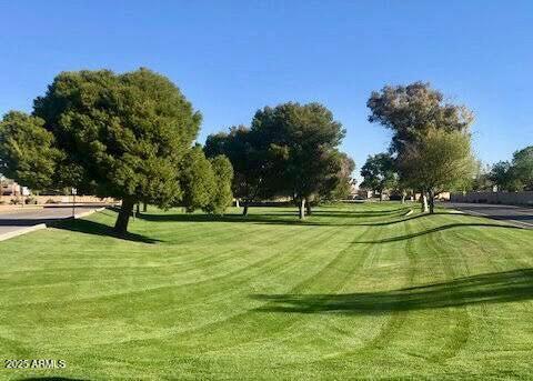 590 N CHOLLA Street, Chandler