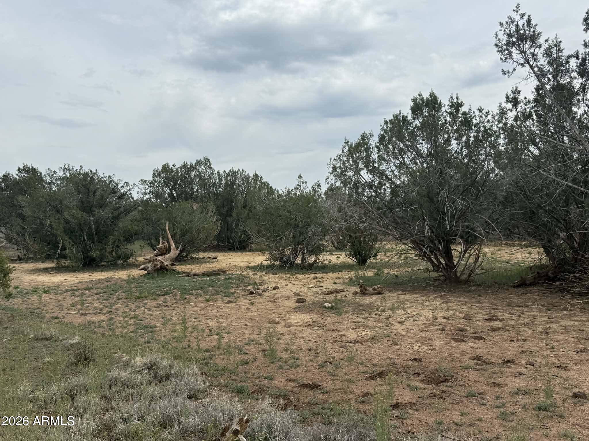 2445 N LUANA Drive, 807, Williams Unit: 807