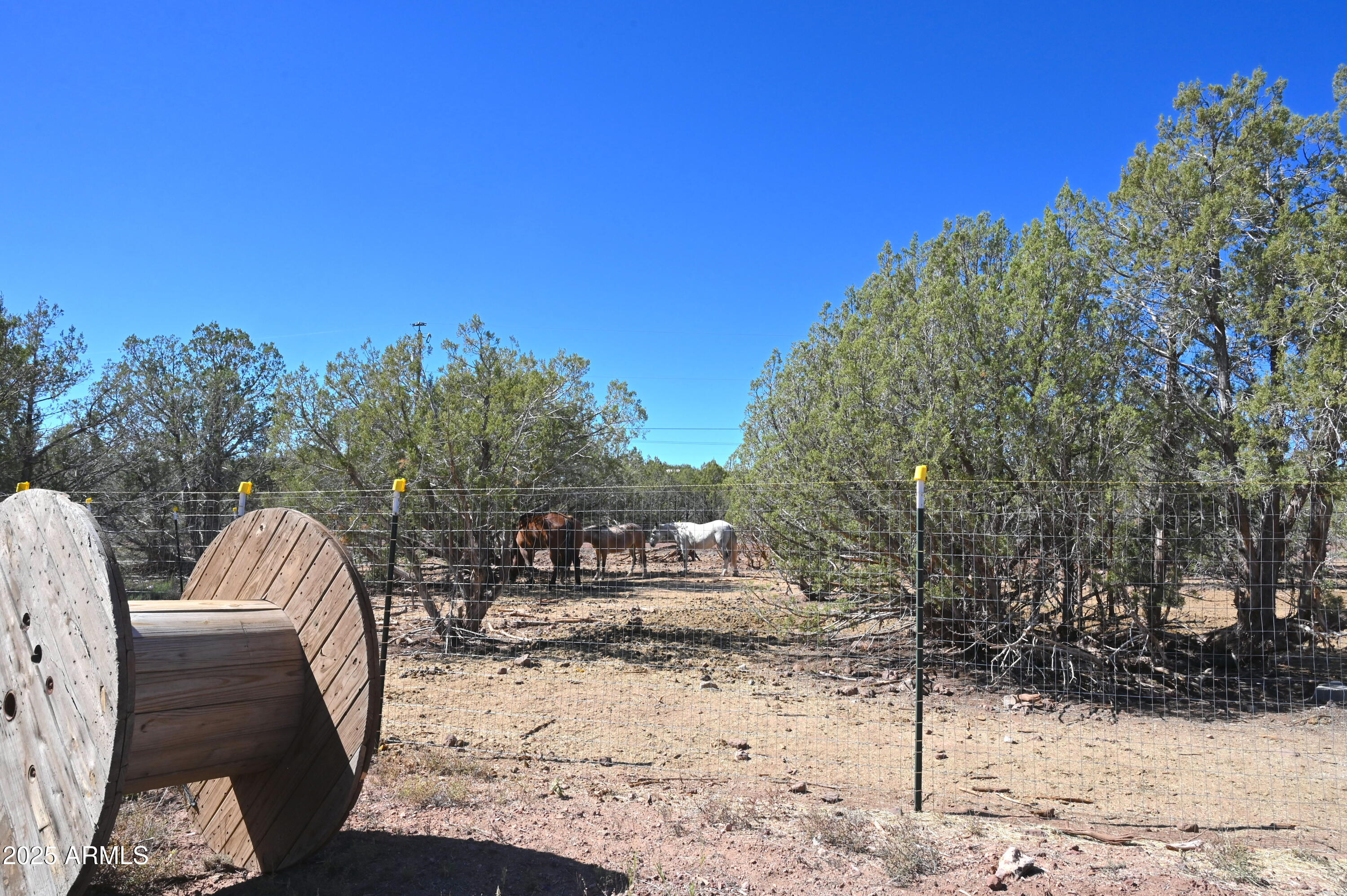 2445 N LUANA Drive, 807, Williams Unit: 807