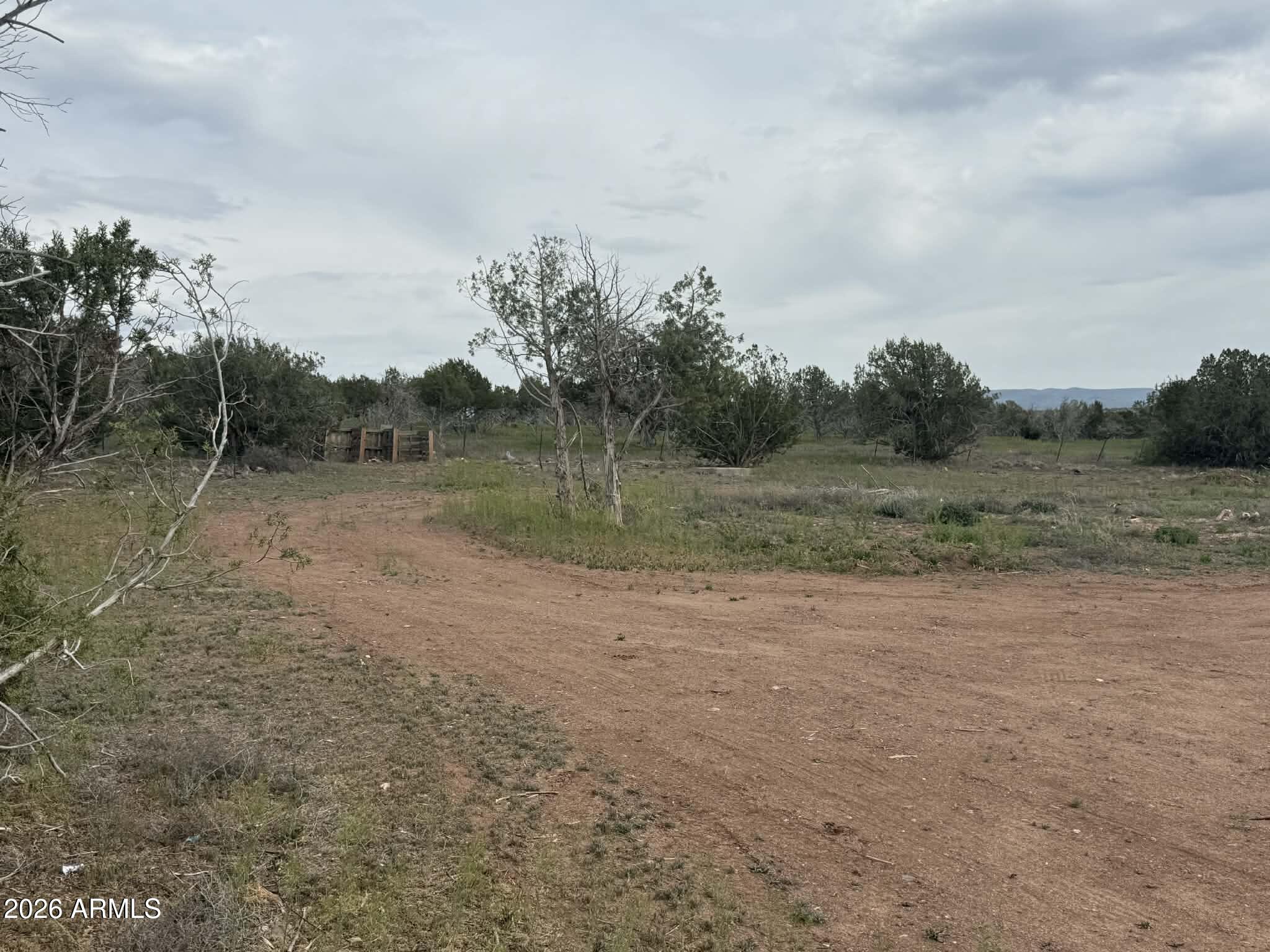 2445 N LUANA Drive, 807, Williams Unit: 807