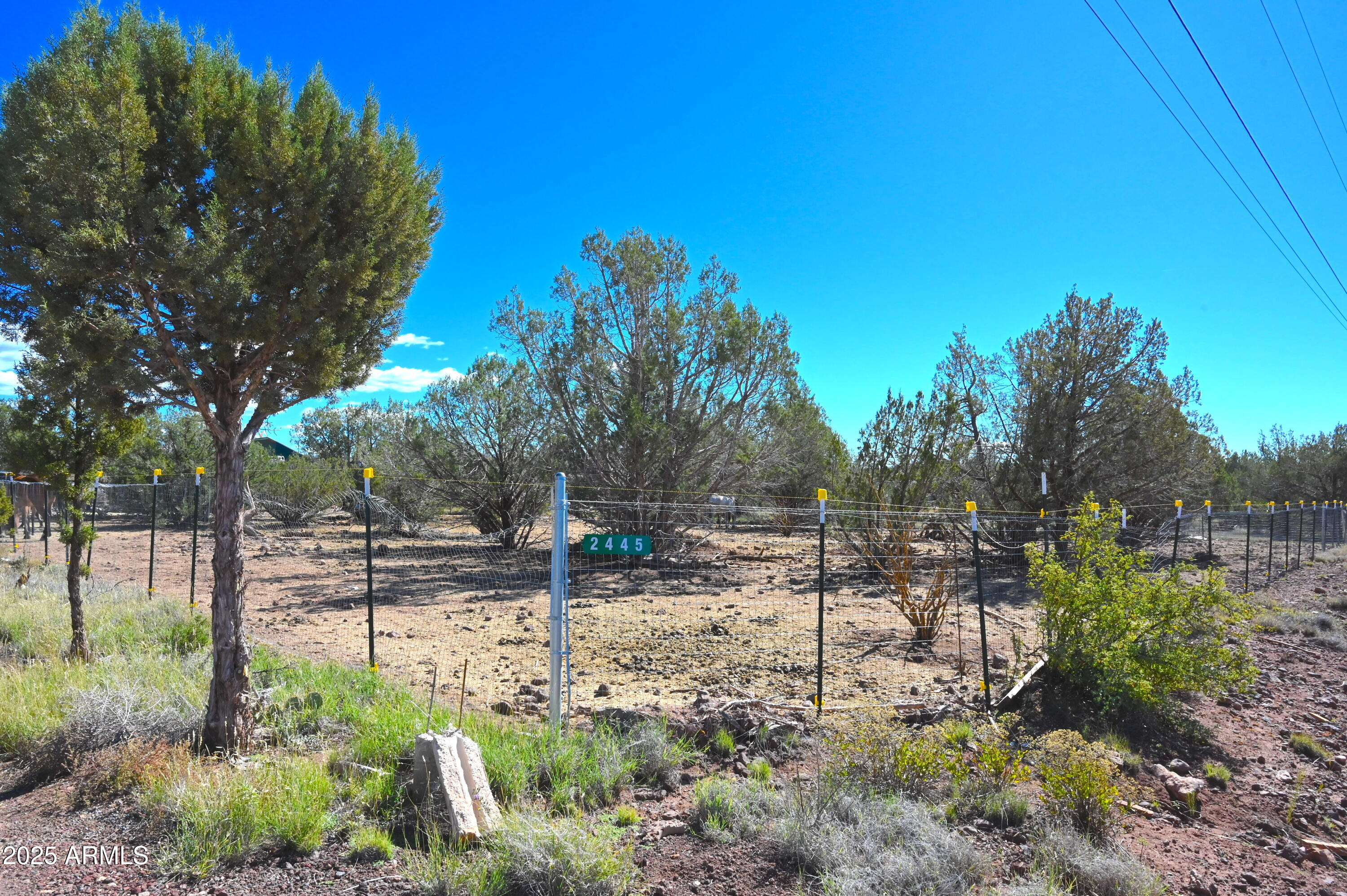 2445 N LUANA Drive, 807, Williams Unit: 807