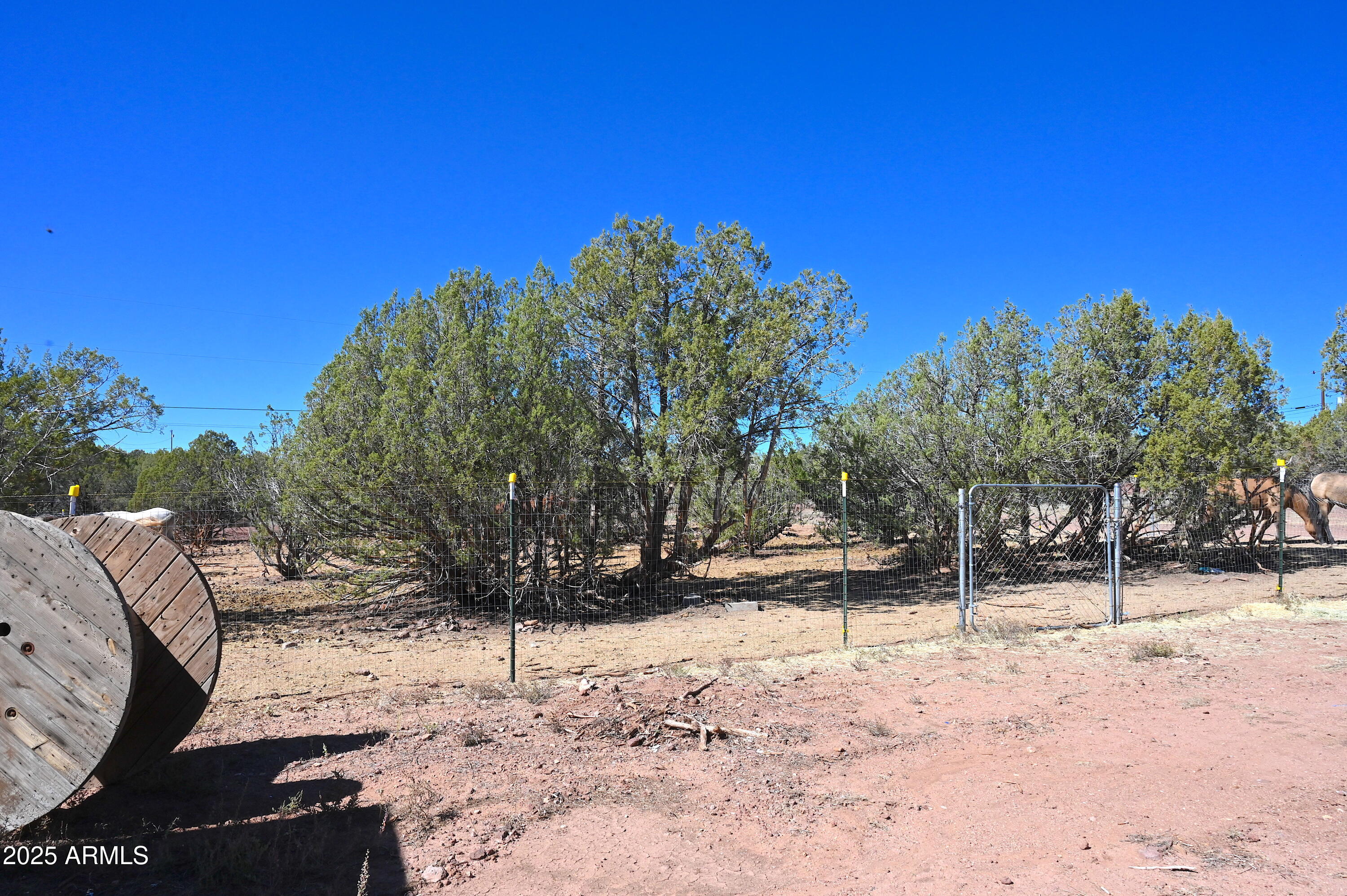 2445 N LUANA Drive, 807, Williams Unit: 807