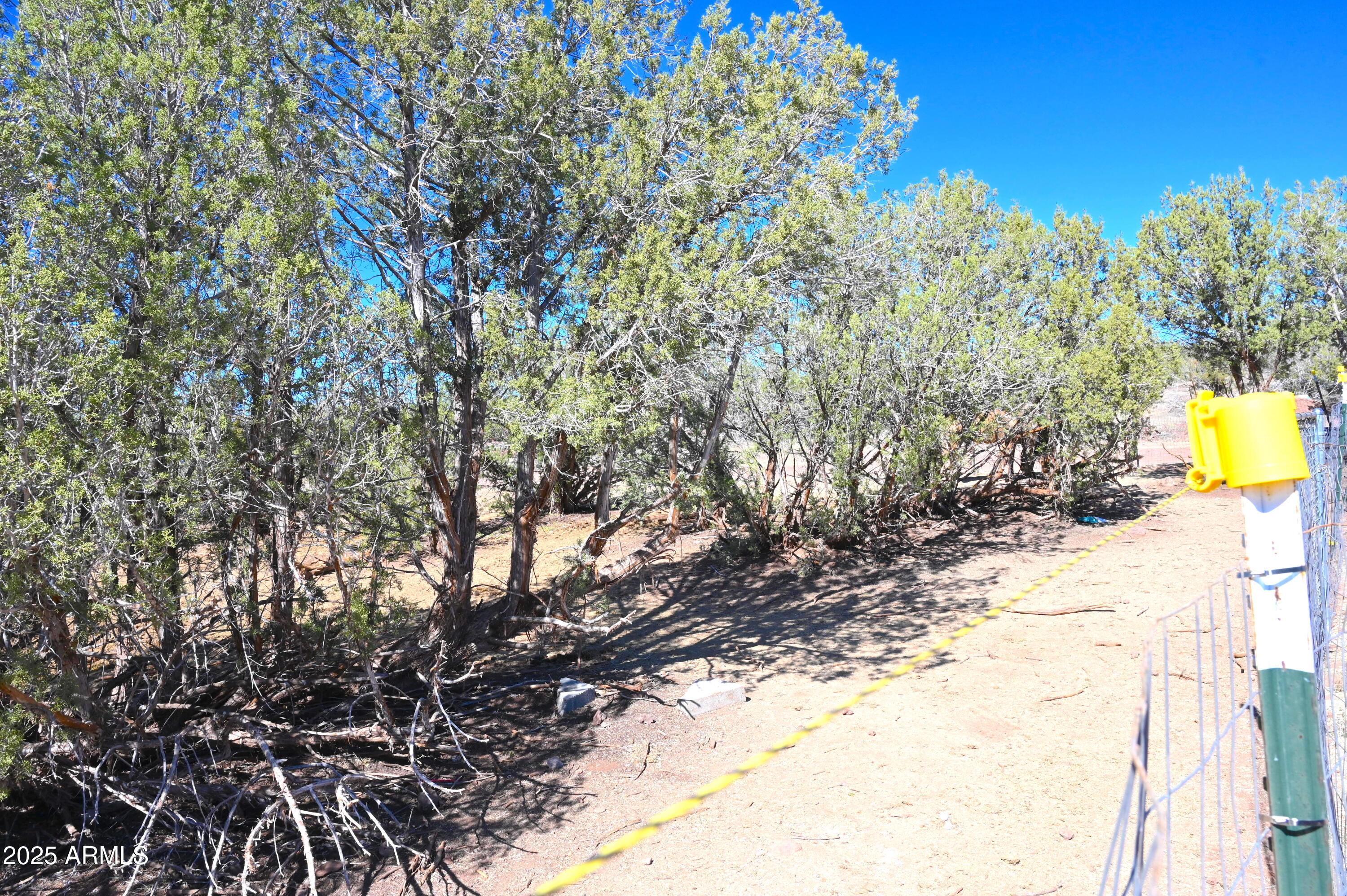 2445 N LUANA Drive, 807, Williams Unit: 807