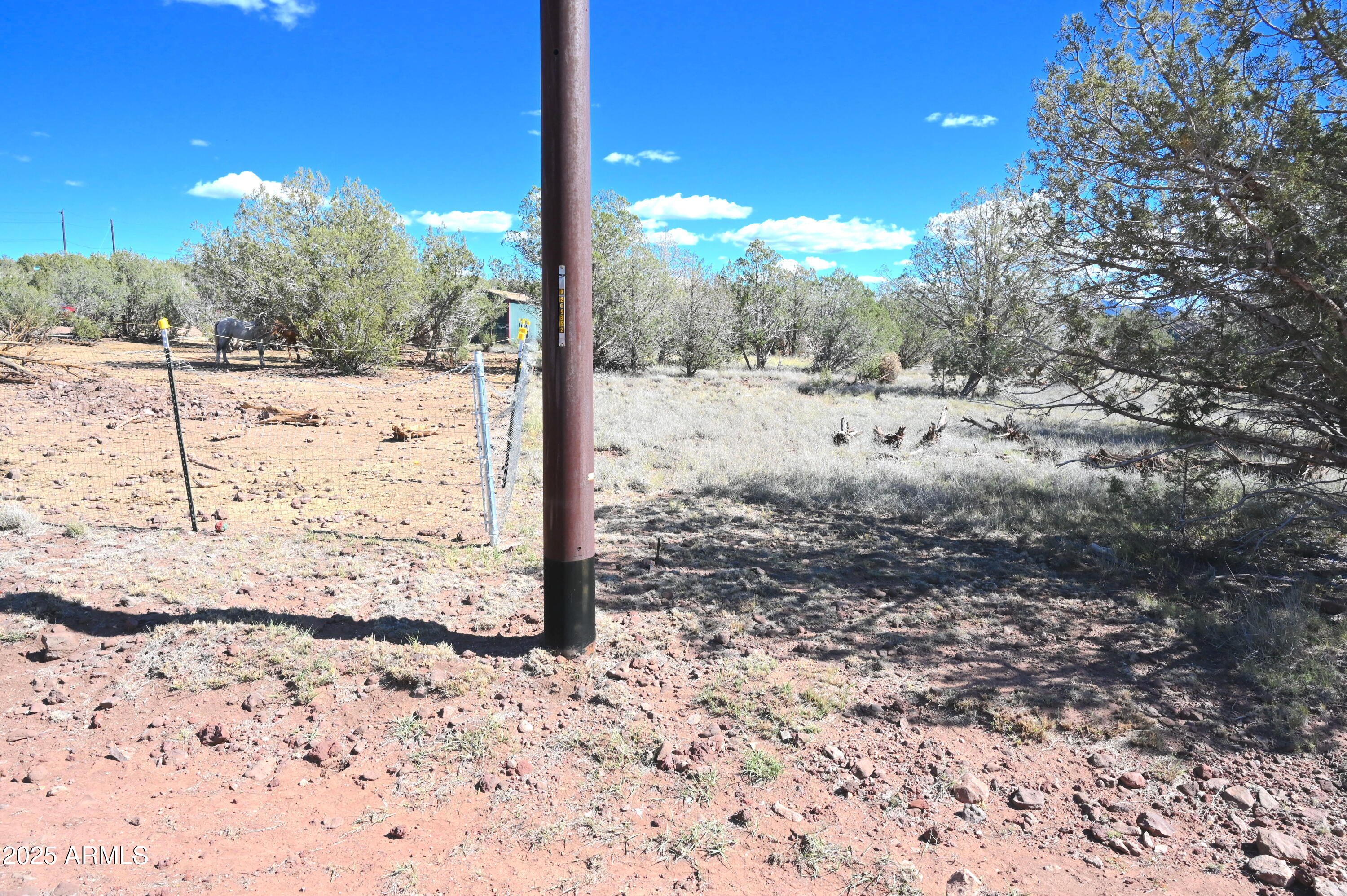 2445 N LUANA Drive, 807, Williams Unit: 807