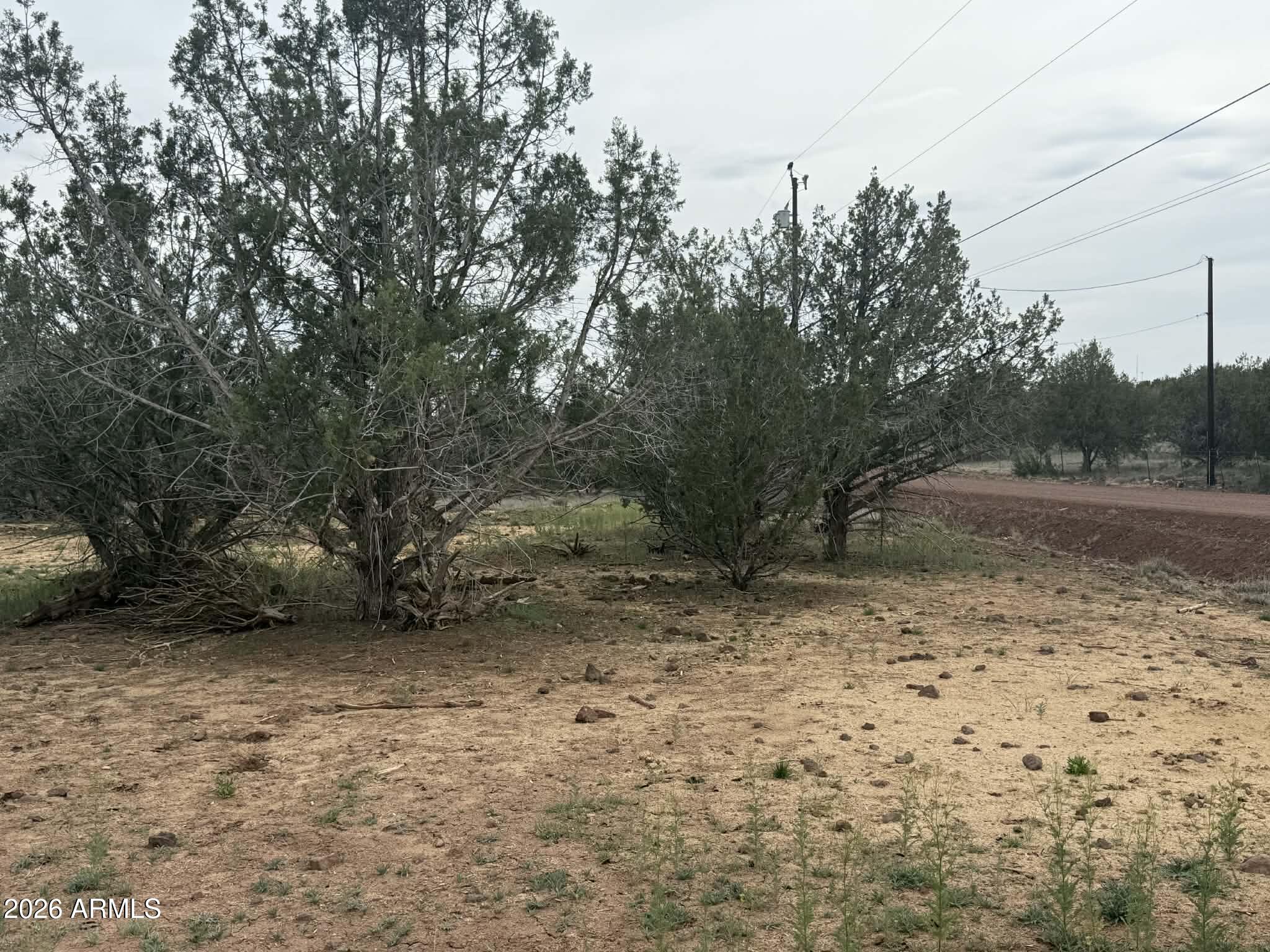 2445 N LUANA Drive, 807, Williams Unit: 807