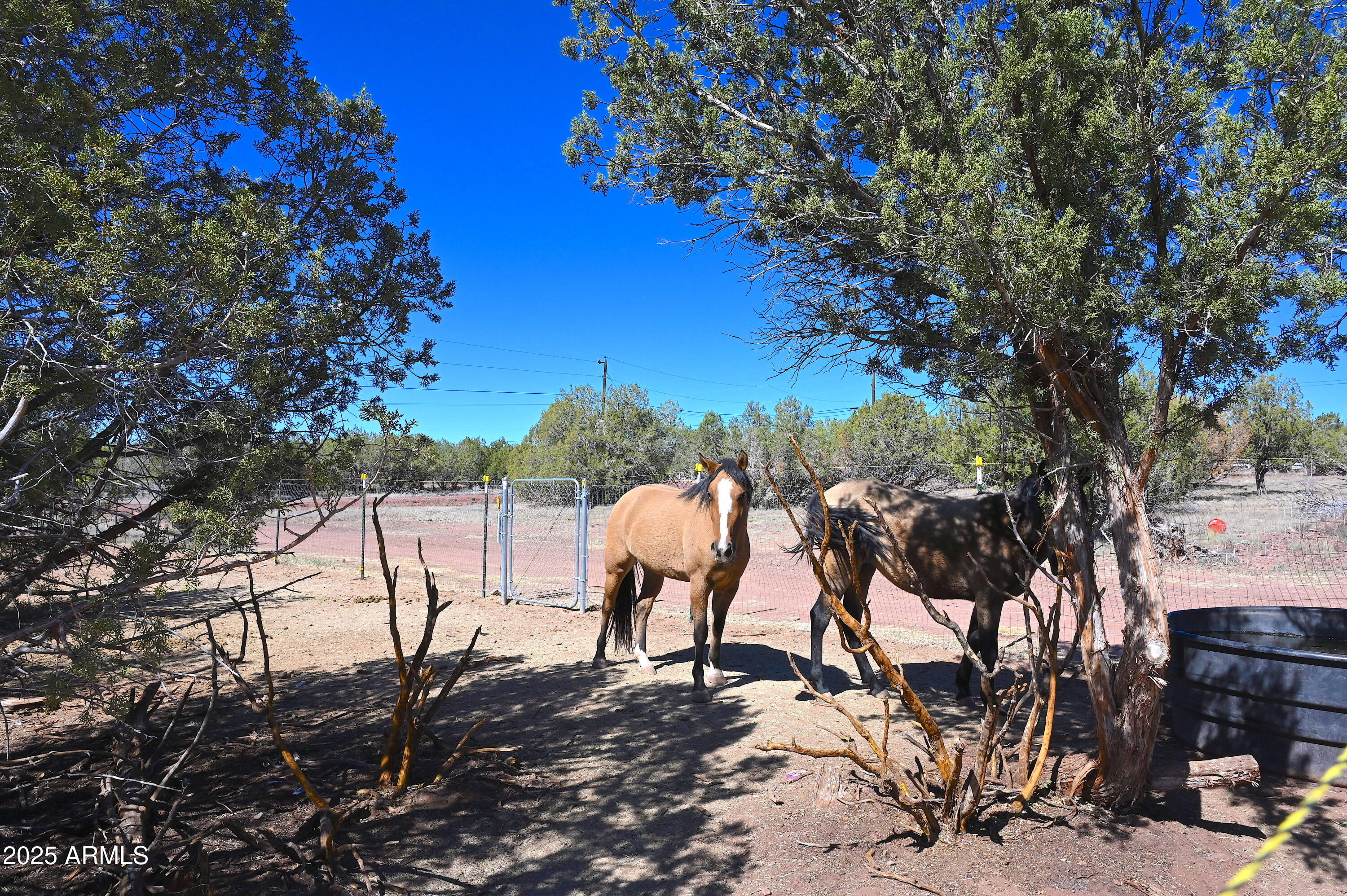 2445 N LUANA Drive, 807, Williams Unit: 807