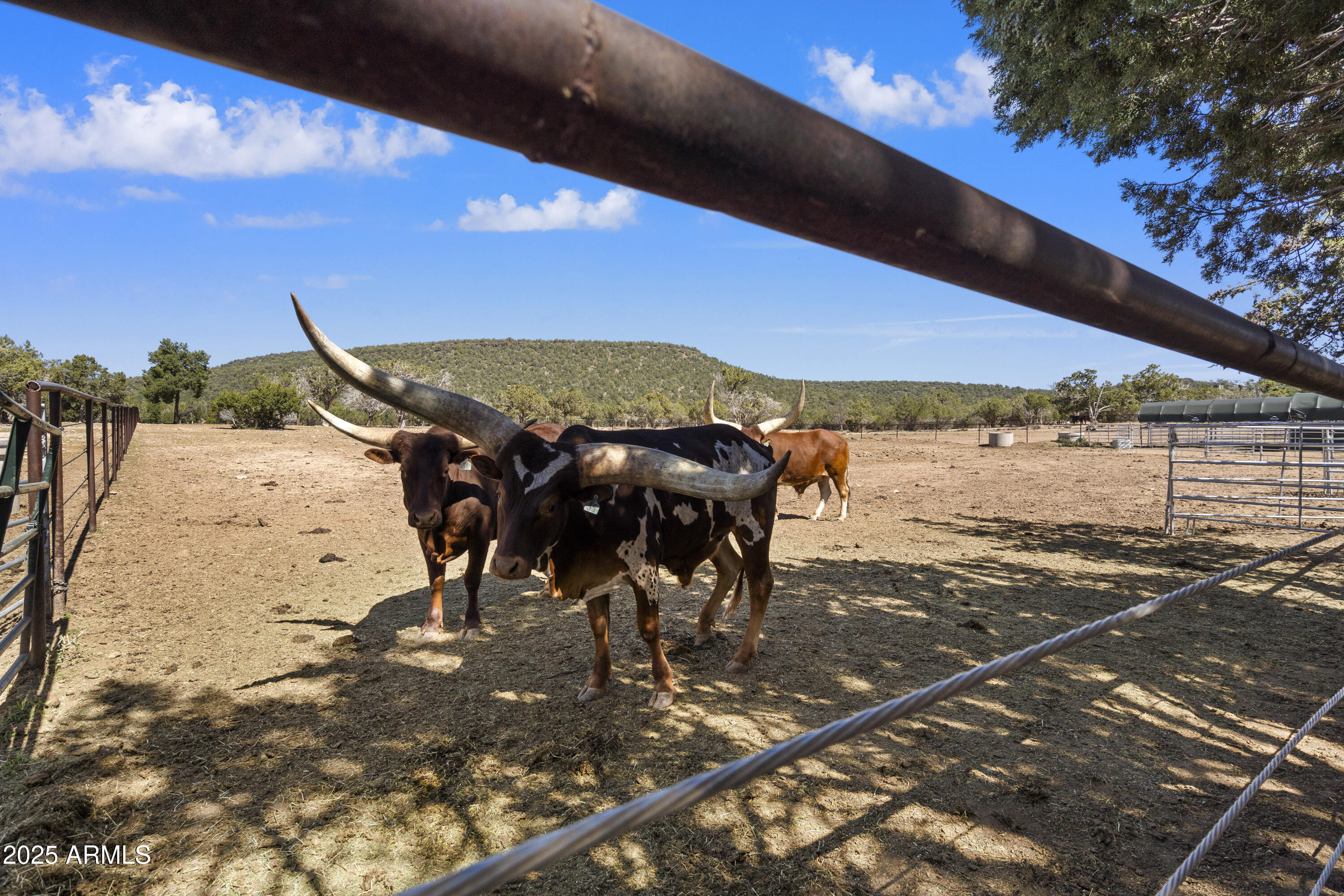 33425 W COWBOY CLINT Way, Seligman