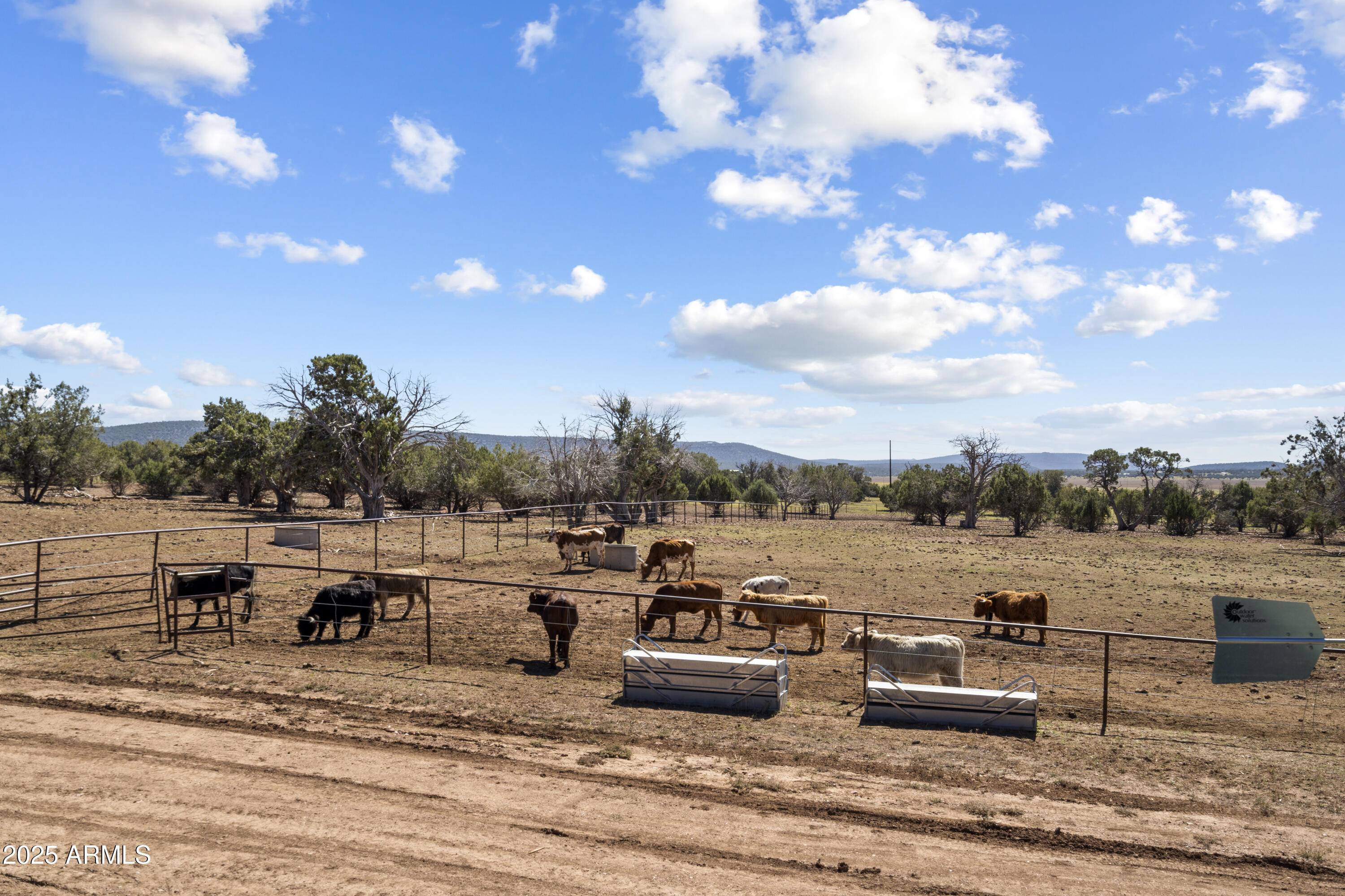 33425 W COWBOY CLINT Way, Seligman