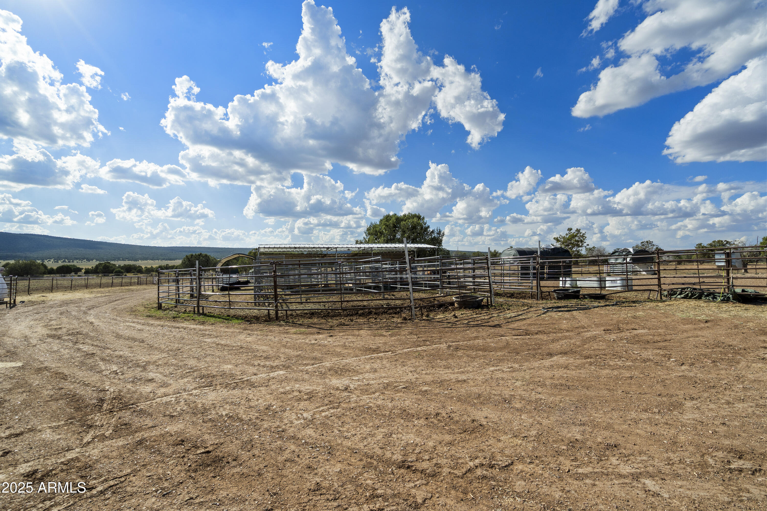 33425 W COWBOY CLINT Way, Seligman