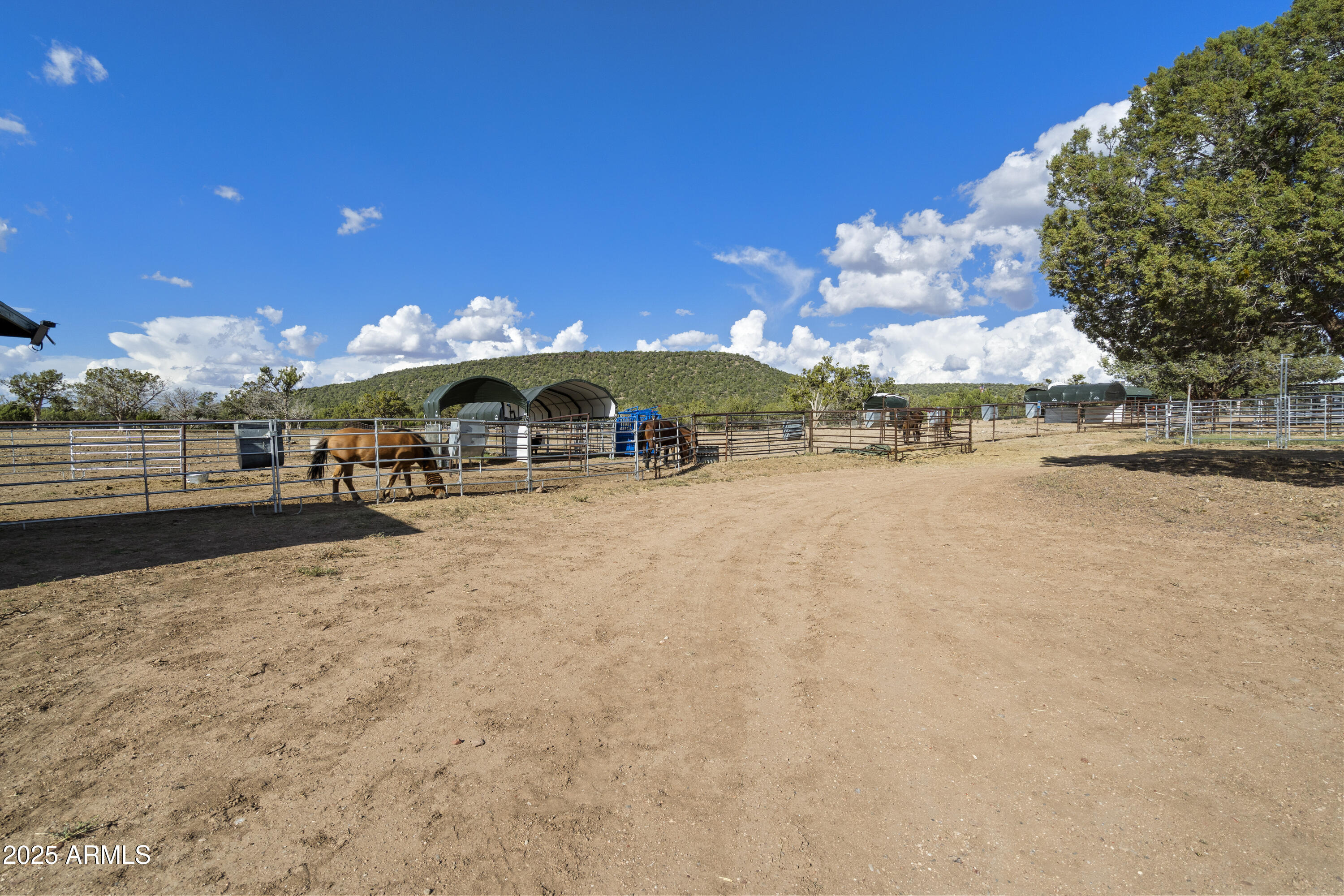 33425 W COWBOY CLINT Way, Seligman