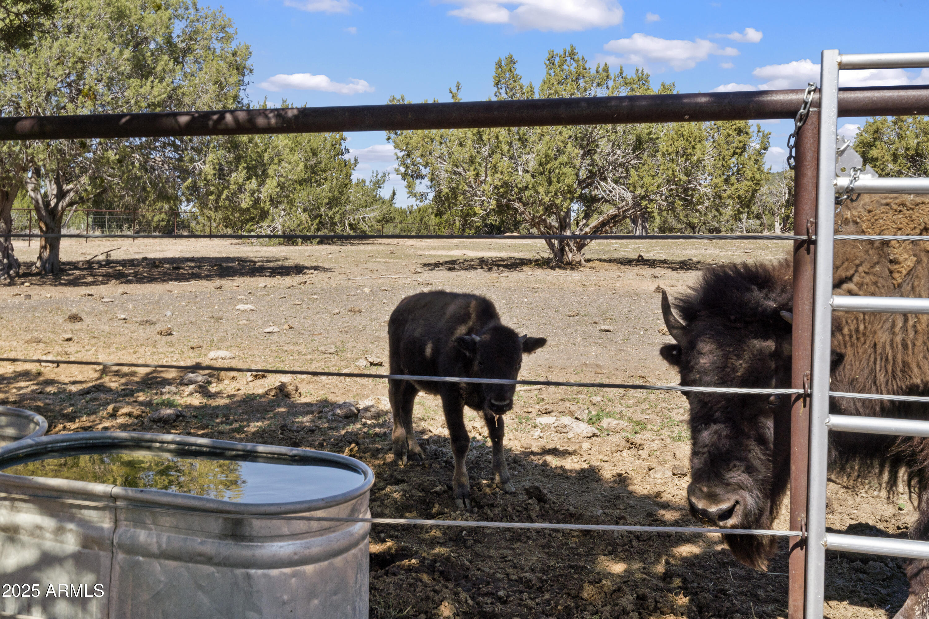 33425 W COWBOY CLINT Way, Seligman