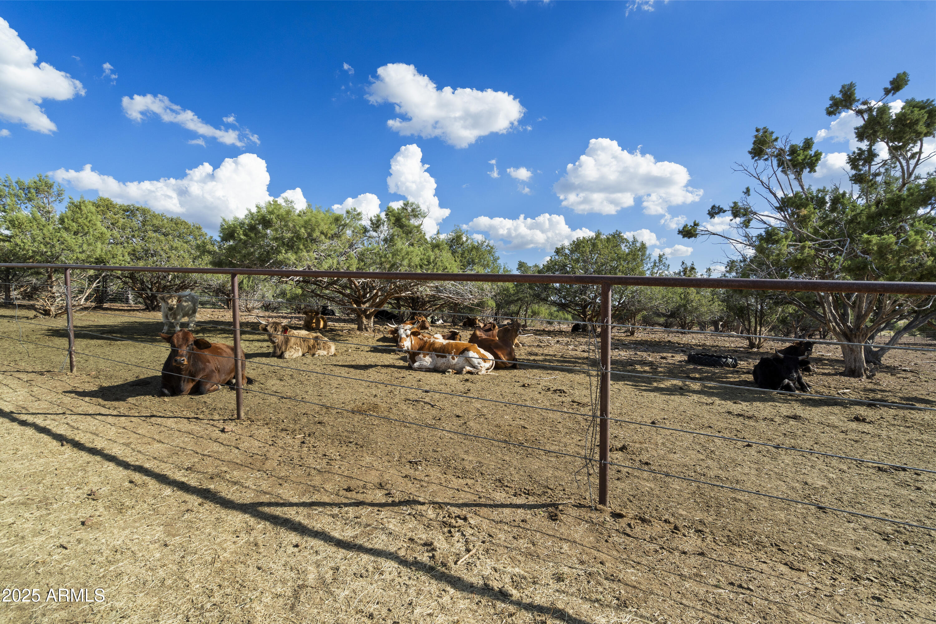 33425 W COWBOY CLINT Way, Seligman