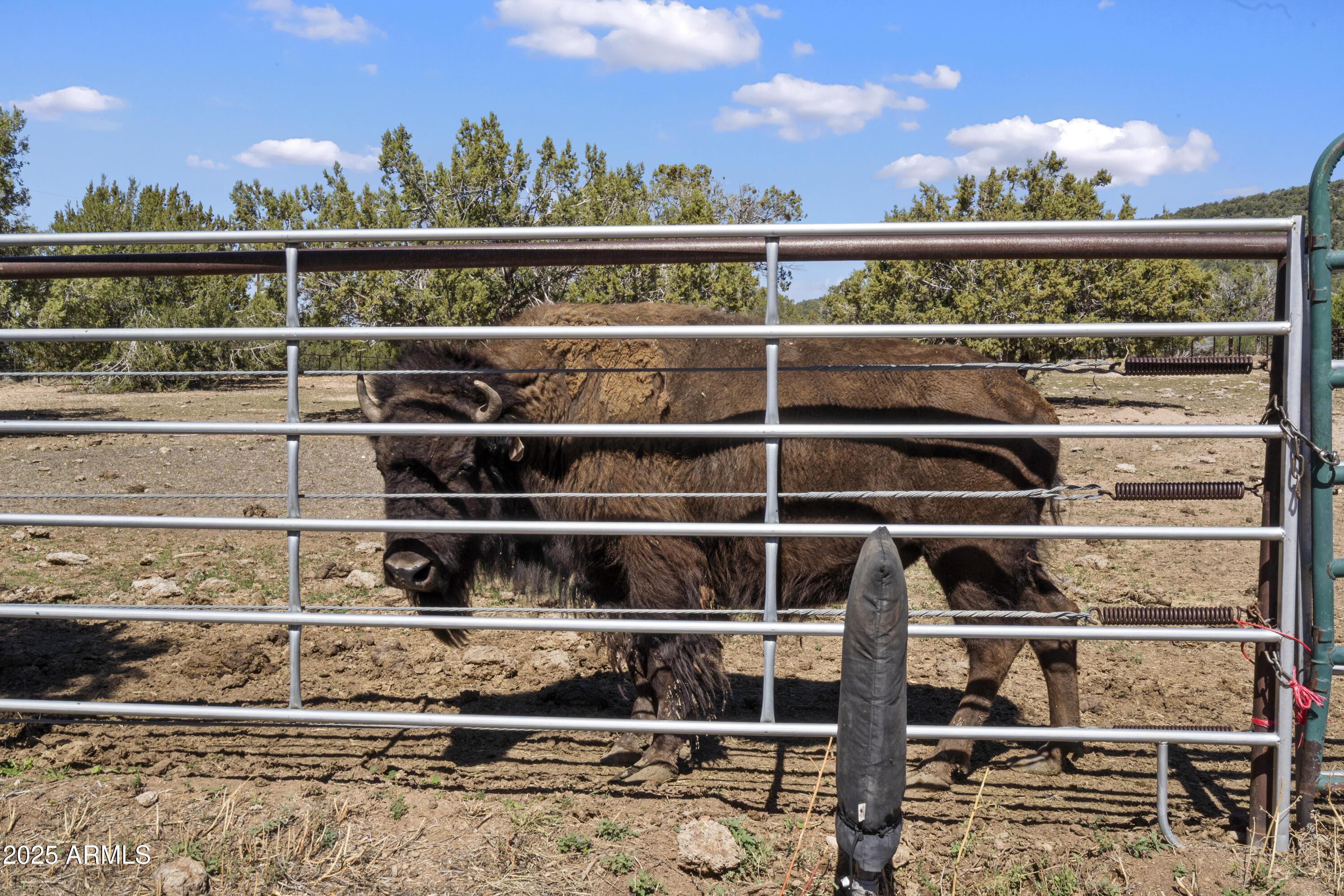 33425 W COWBOY CLINT Way, Seligman