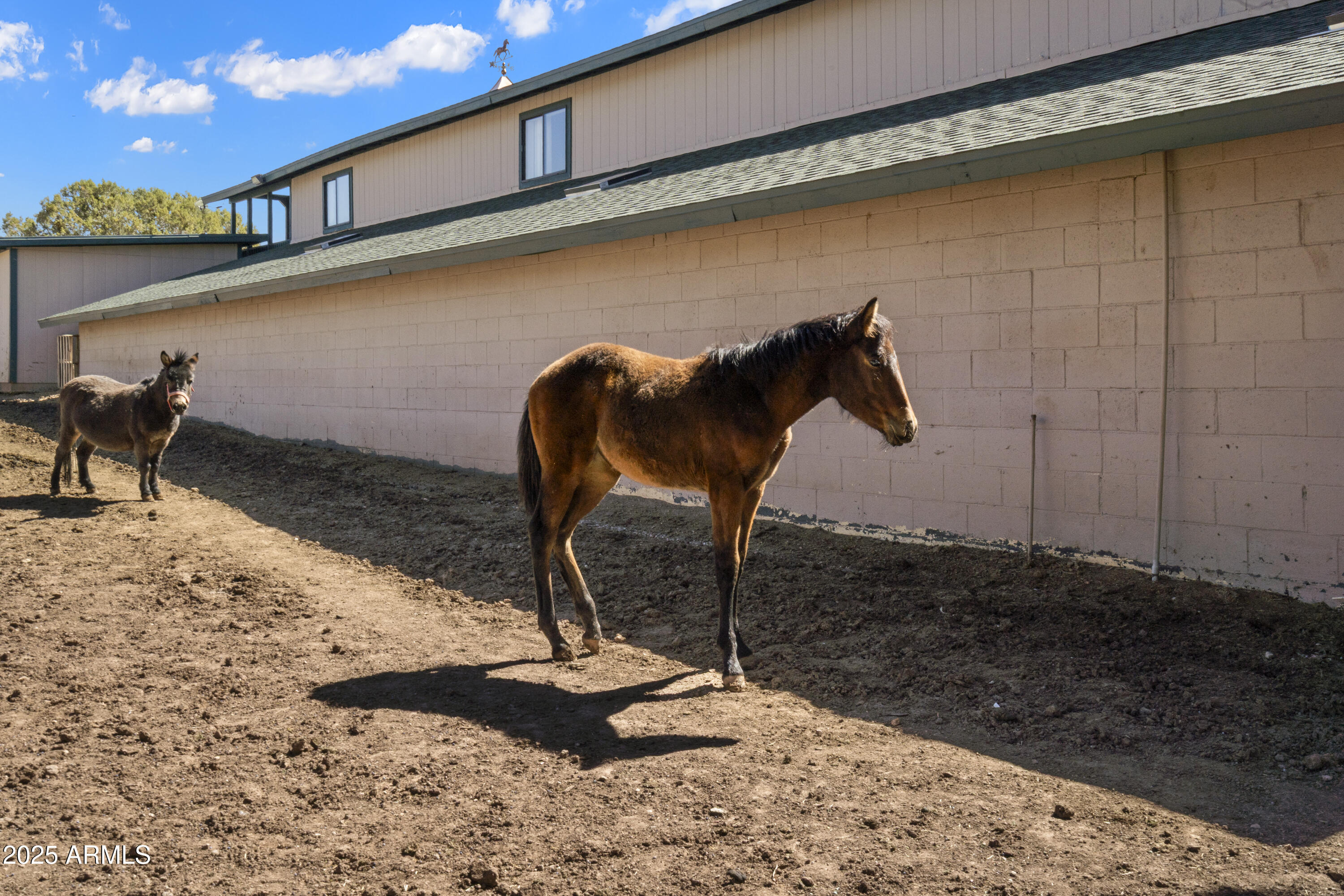 33425 W COWBOY CLINT Way, Seligman