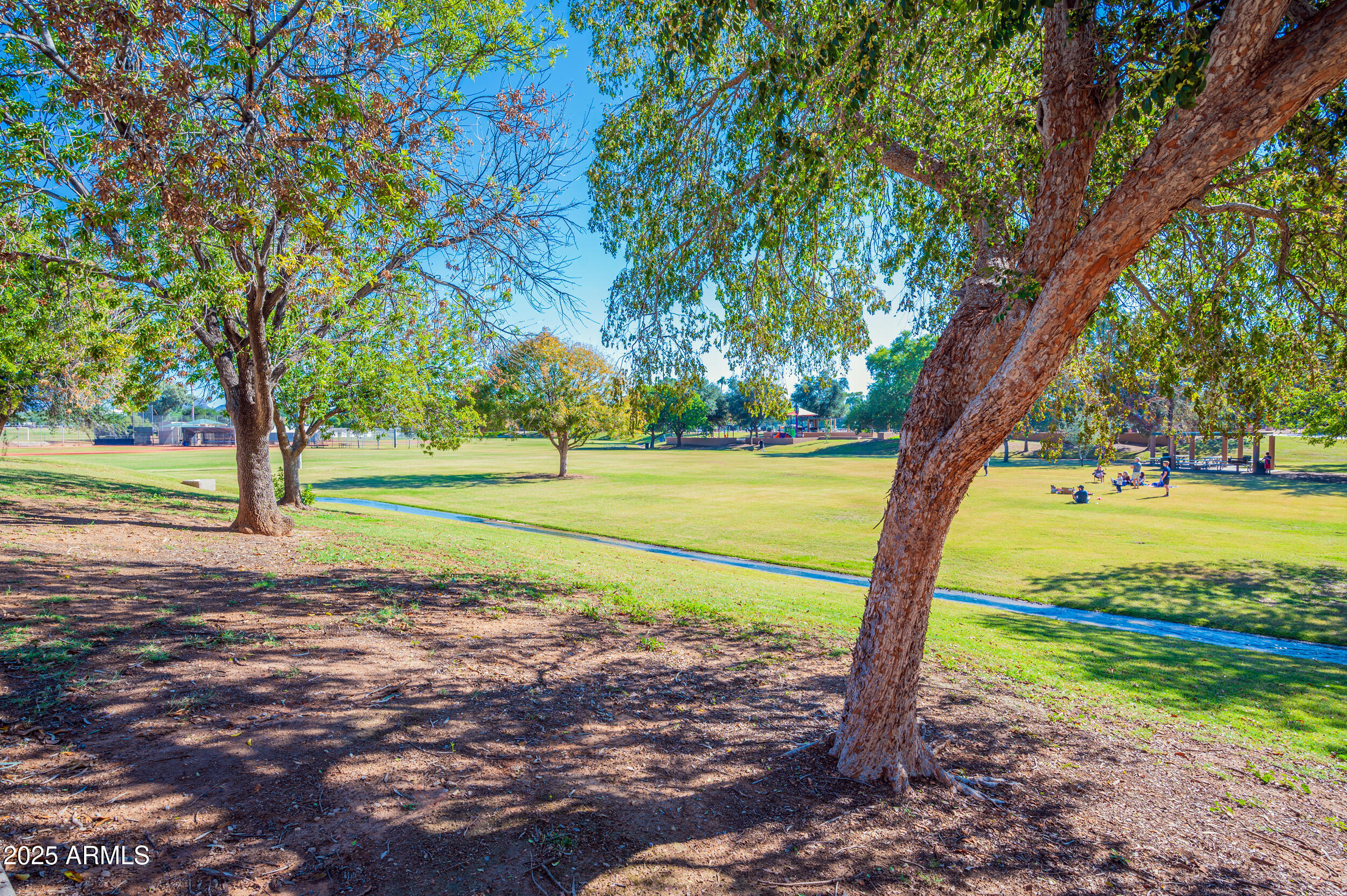 10080 E MOUNTAINVIEW LAKE Drive 258