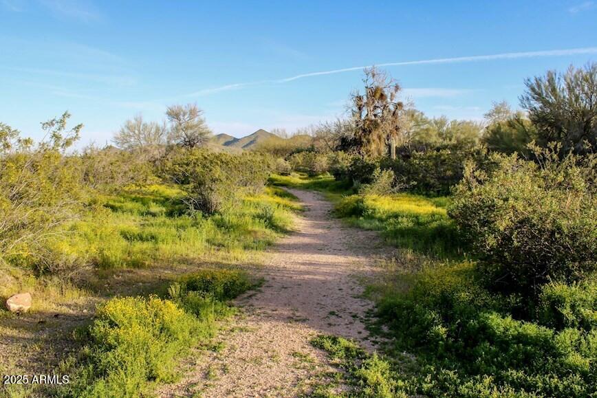 1946 W HORSETAIL Trail