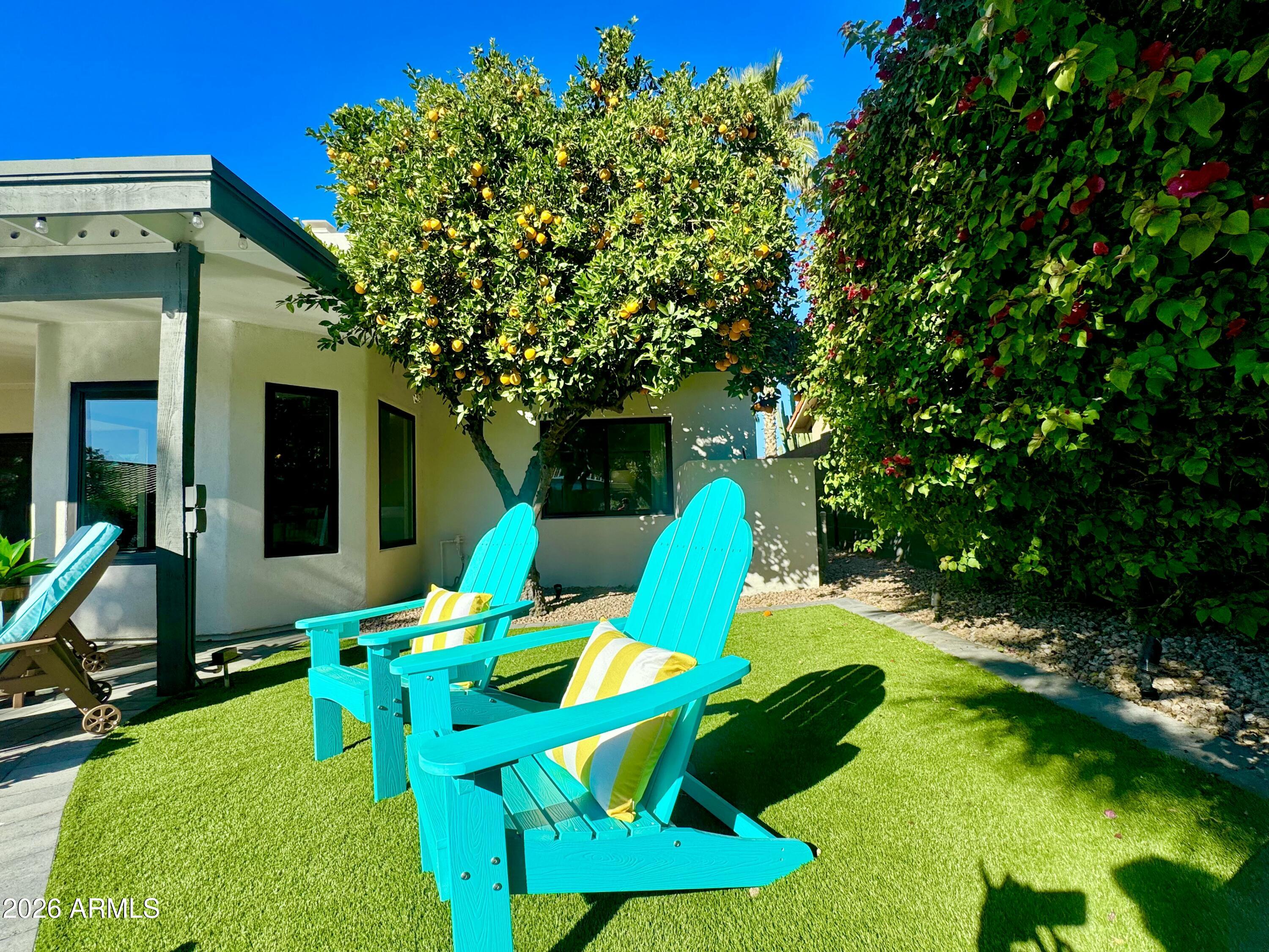 10563 E PALOMINO Road