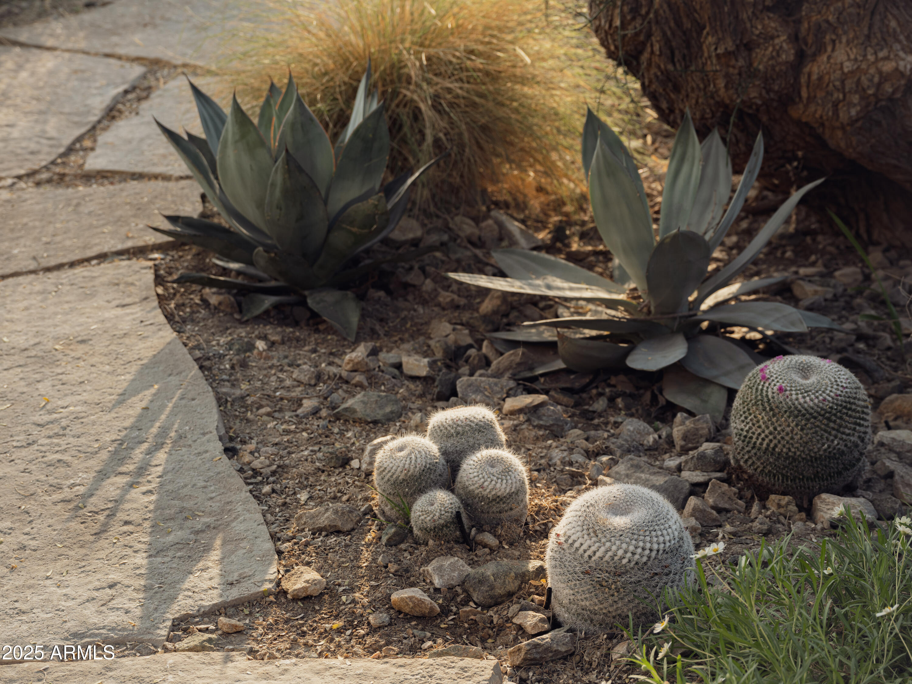 4747 E ARROYO VERDE Drive