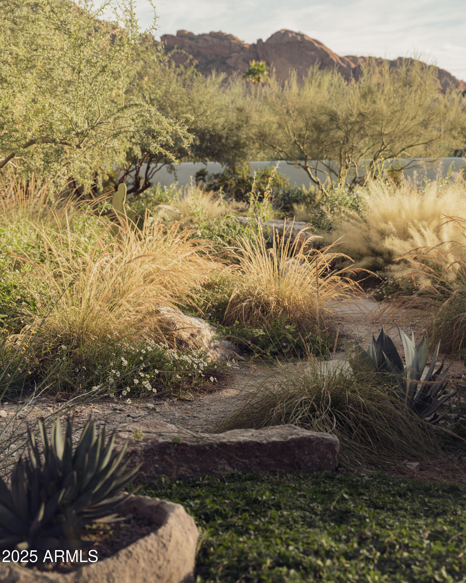 4747 E ARROYO VERDE Drive