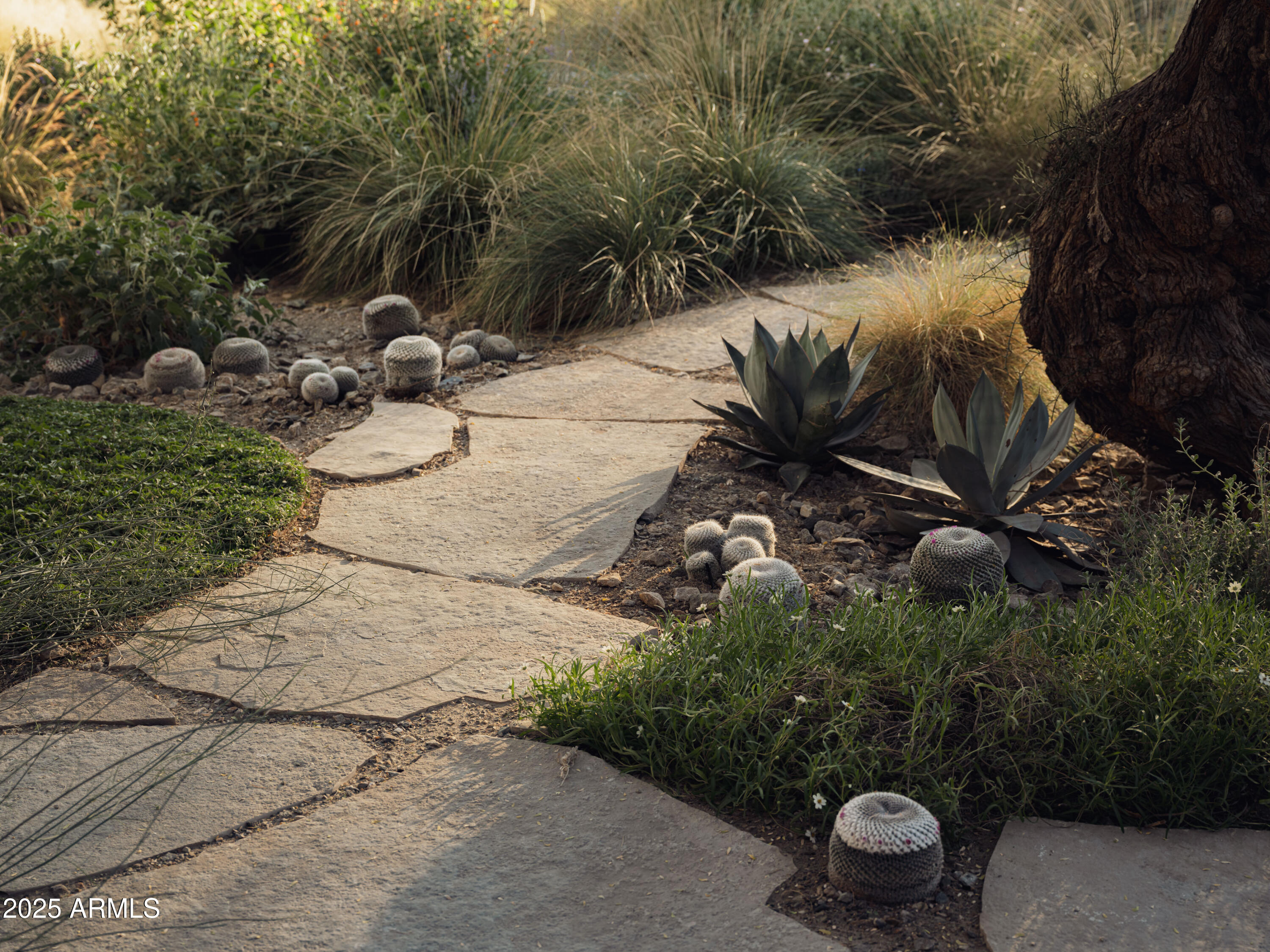 4747 E ARROYO VERDE Drive