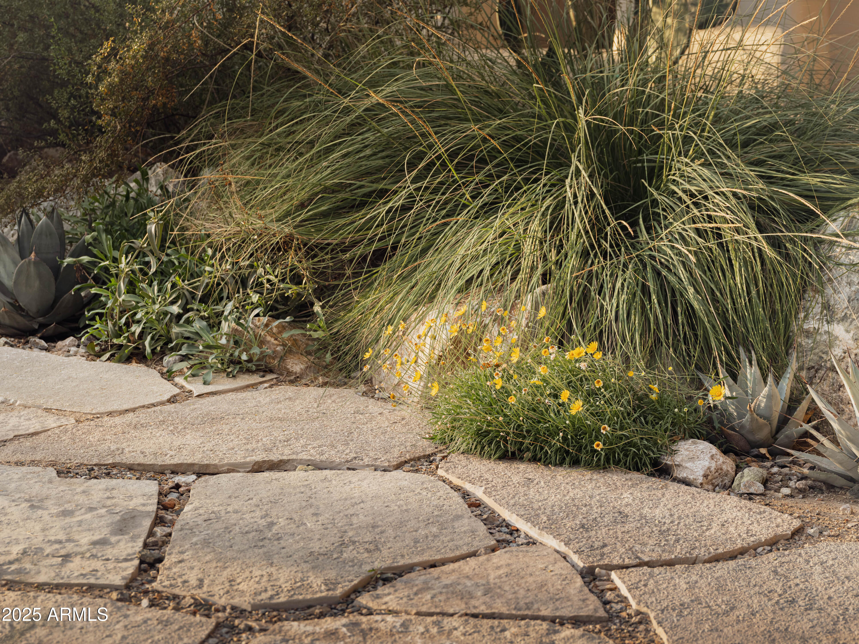 4747 E ARROYO VERDE Drive