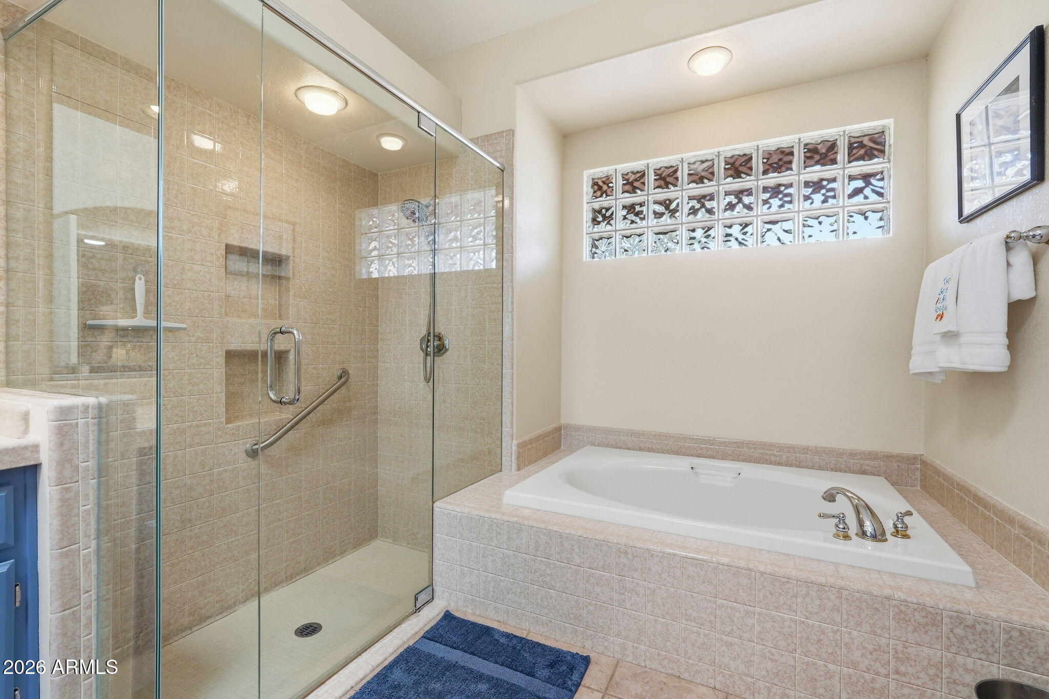 24619 S Ribbonwood Drive