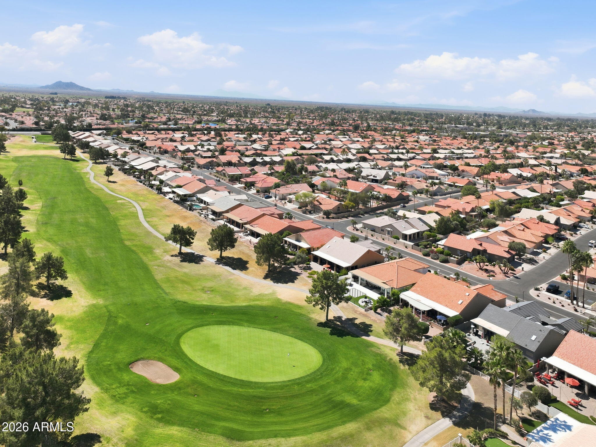 24619 S Ribbonwood Drive