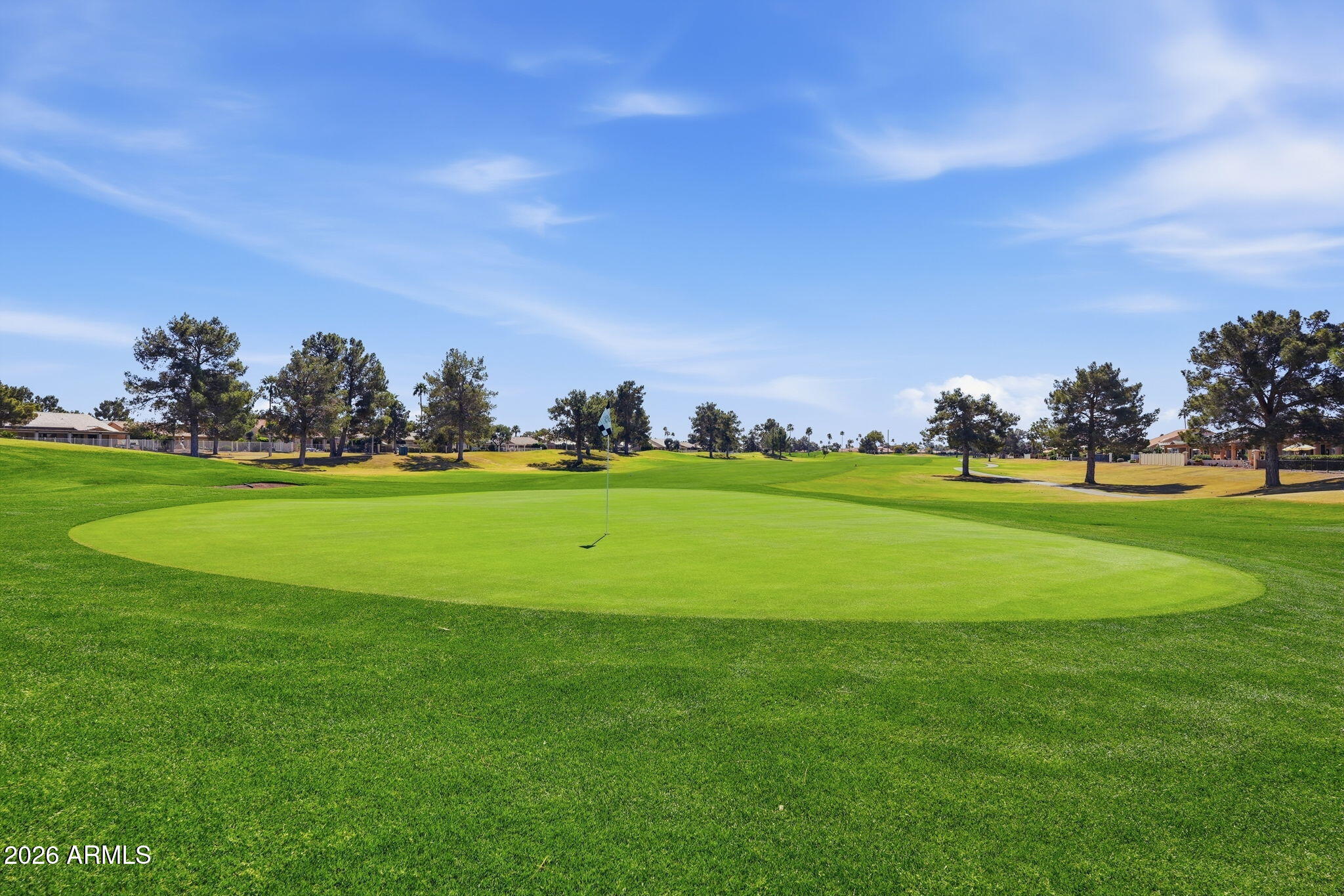 24619 S Ribbonwood Drive