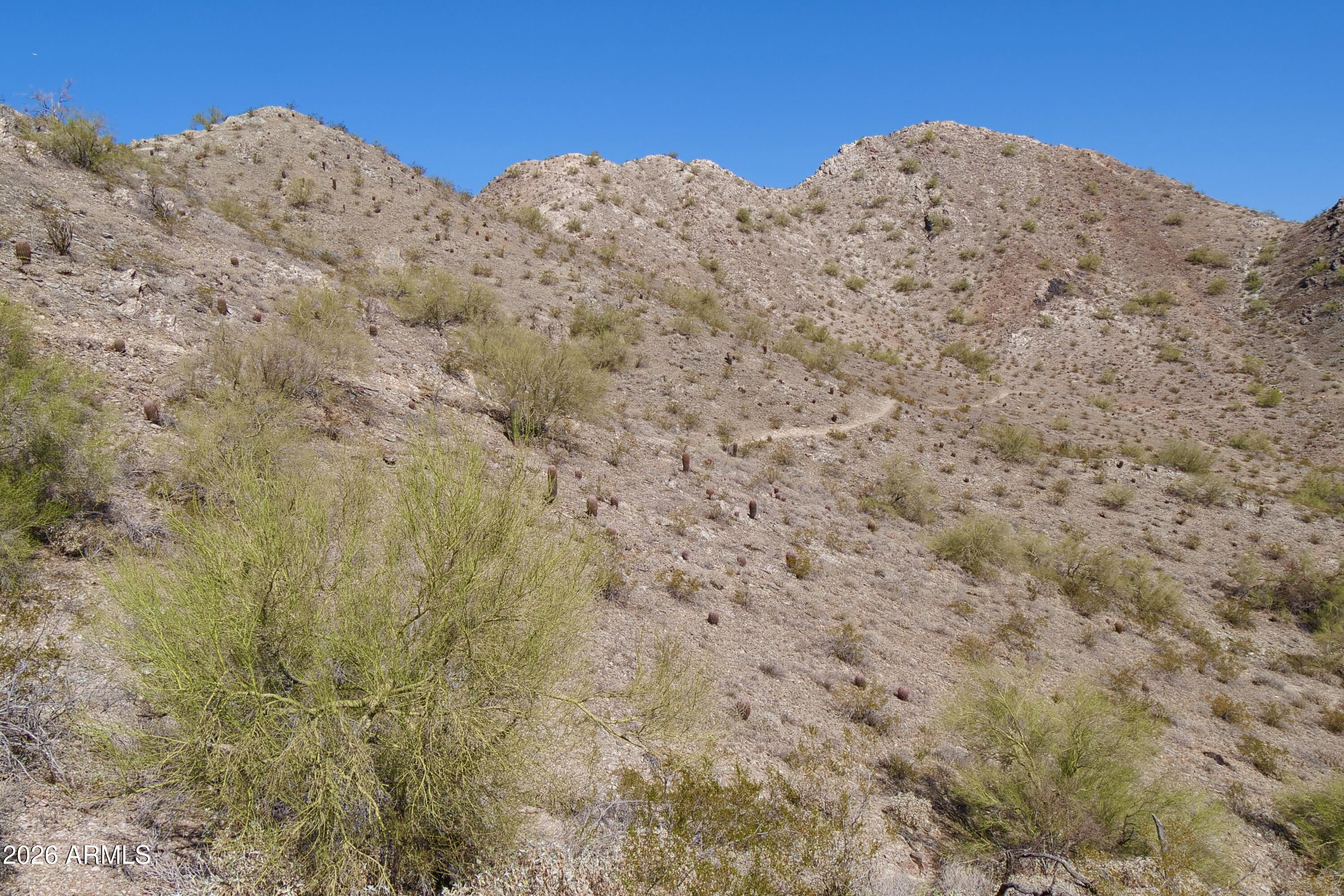 13620 N 26TH Place 196