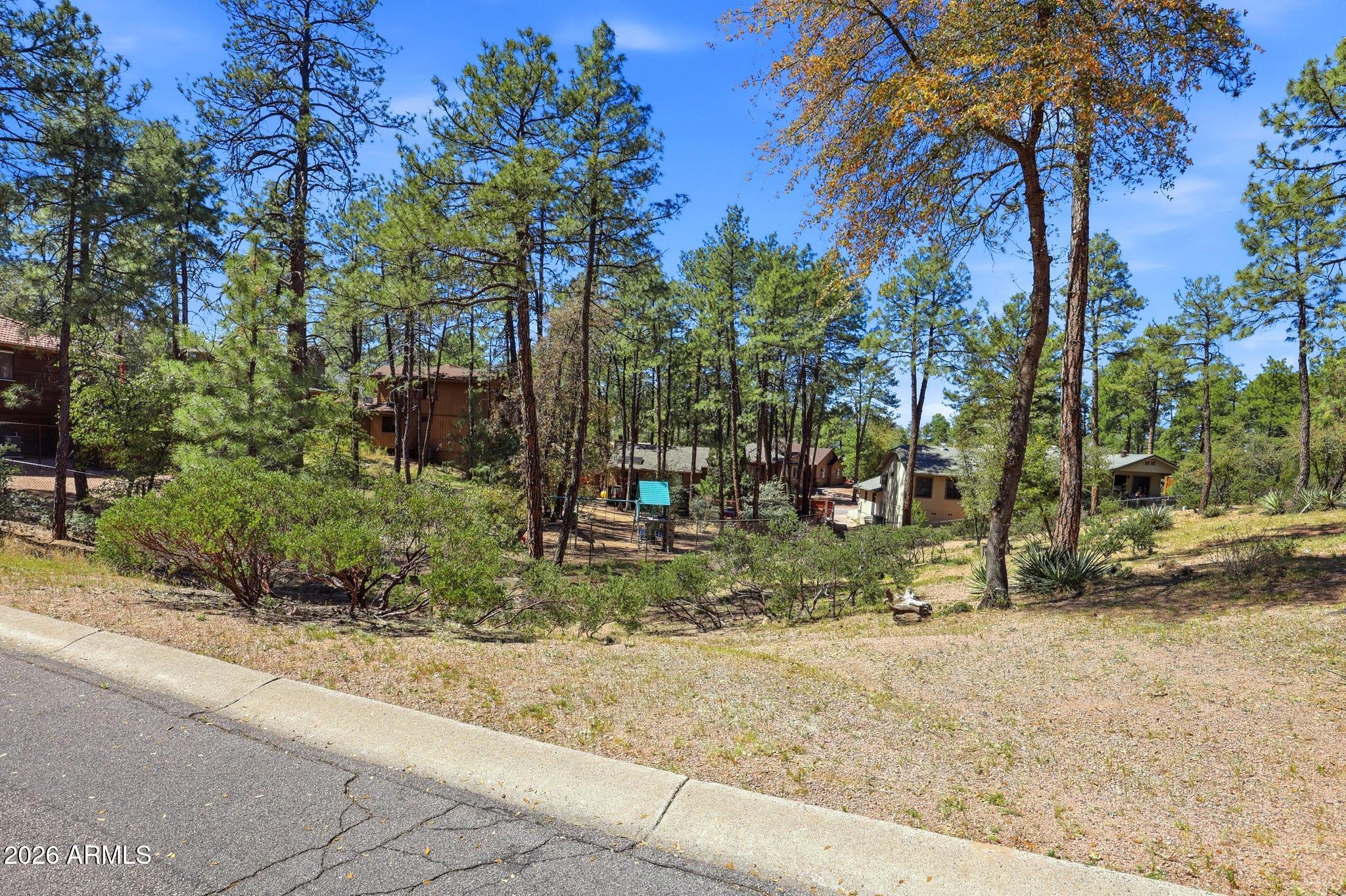 204 N FOREST PARK Drive