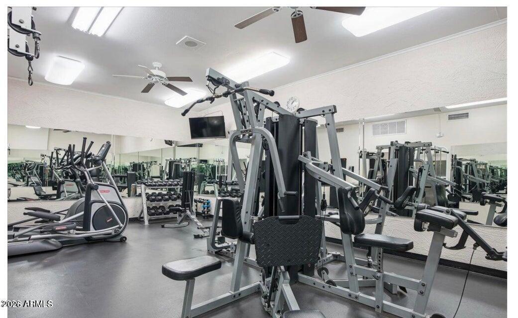 7950 E Camelback Road 305