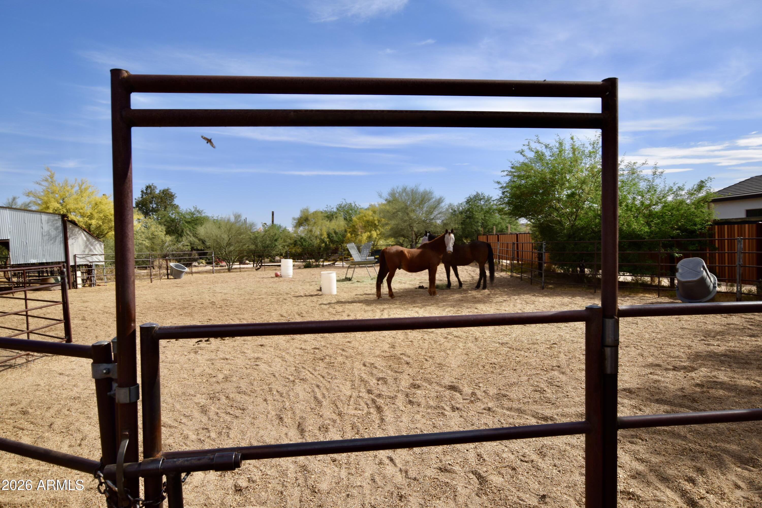6430 E LONESOME Trail