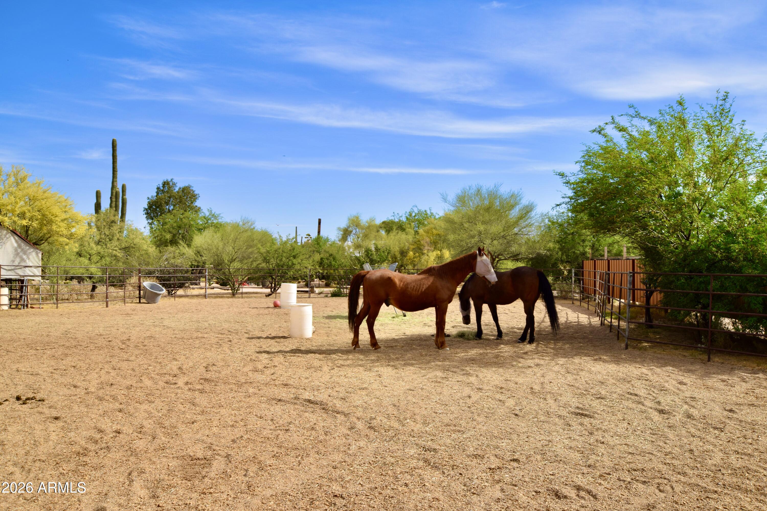 6430 E LONESOME Trail