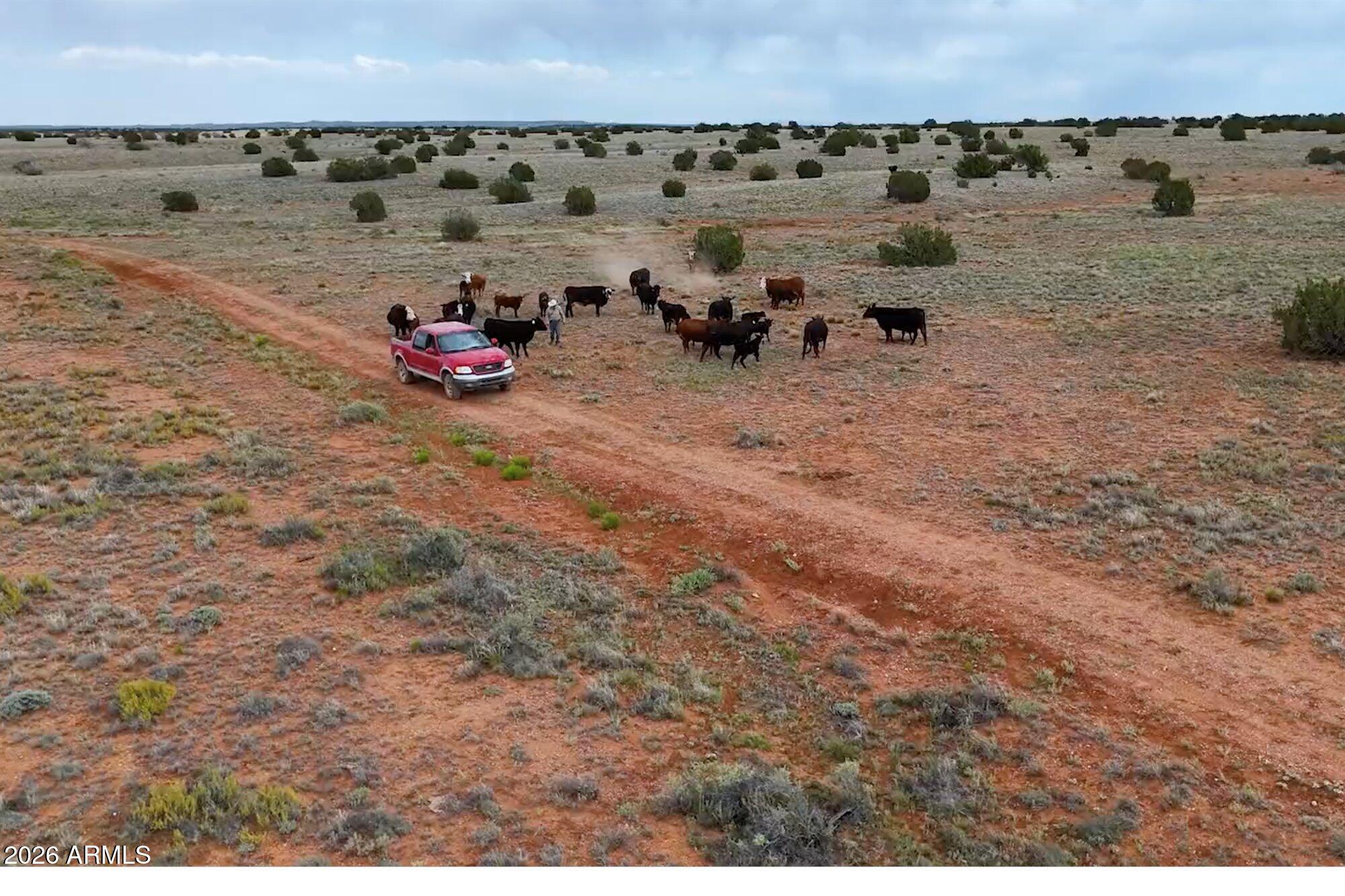 100 S Duck Lake Road -