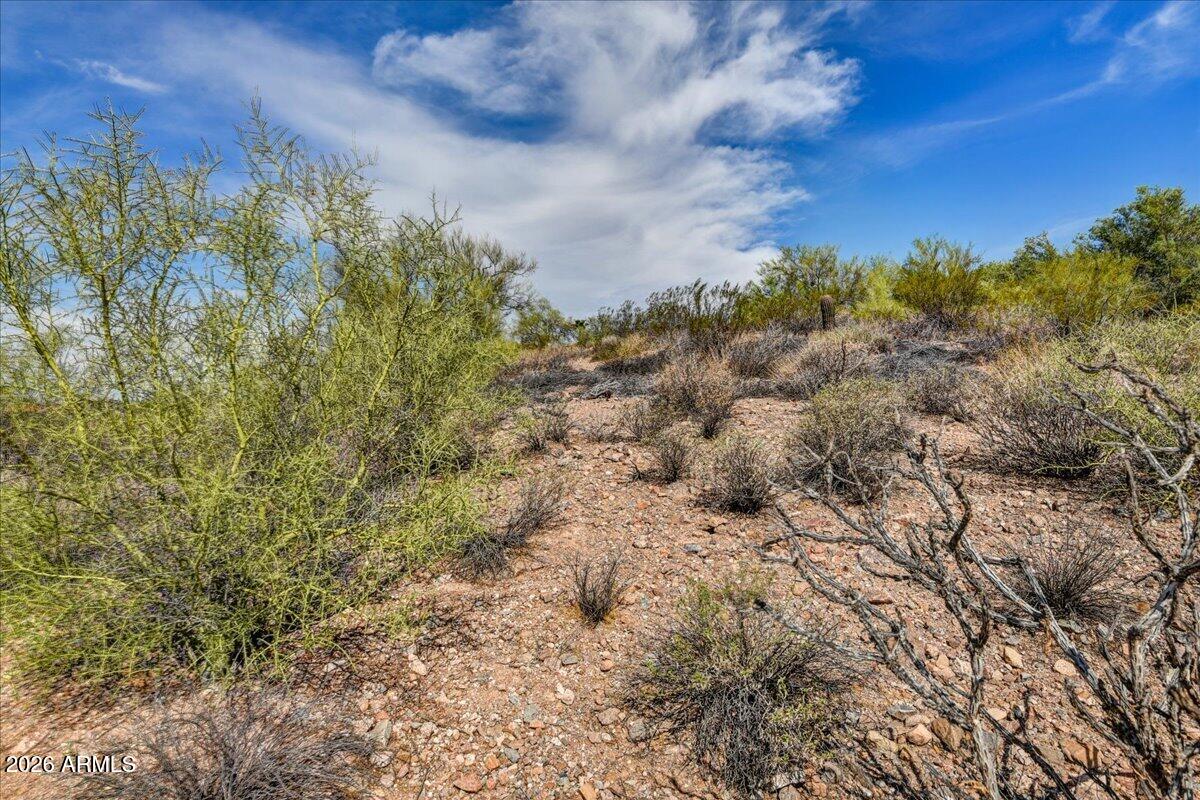 10806 N CHERRY HILLS Court 22