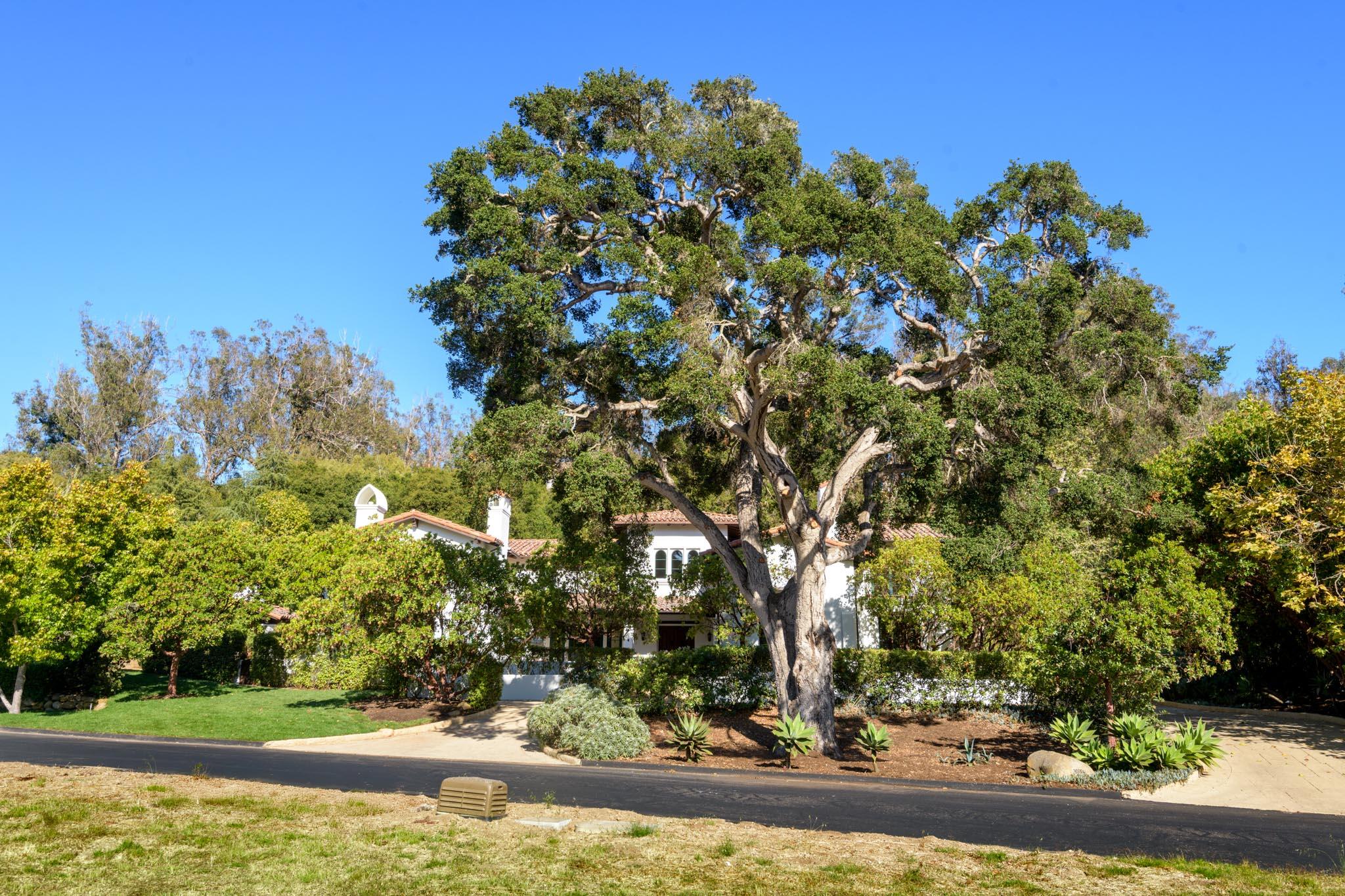 2030 Creekside Road