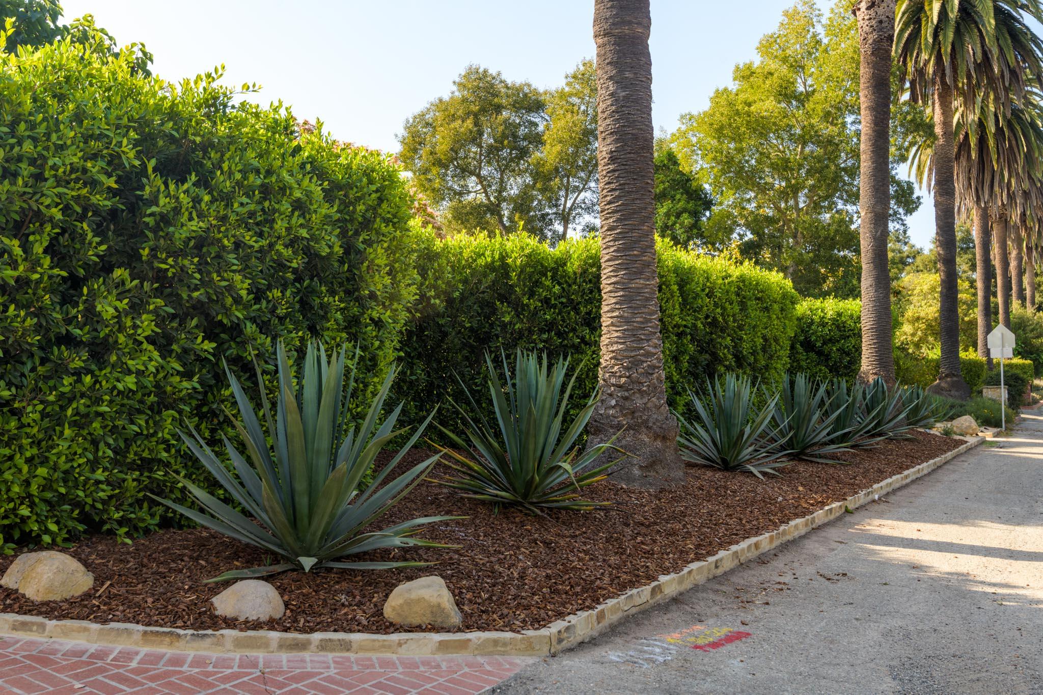 939 Las Palmas Drive