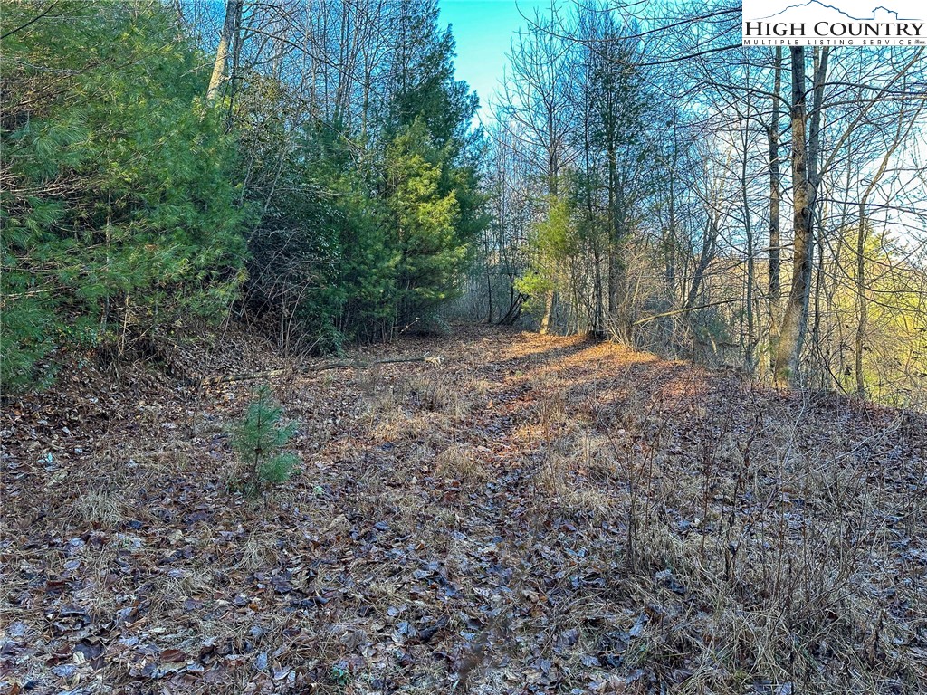 TBD Hidden Spring Extension