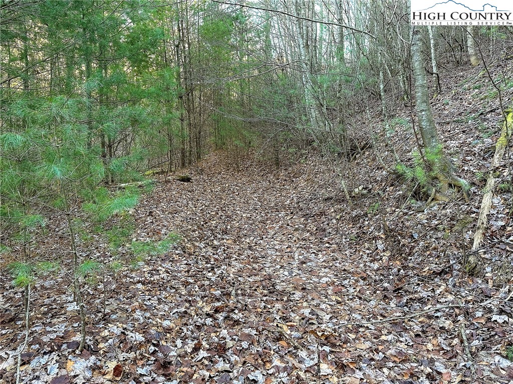 TBD Hidden Spring Extension