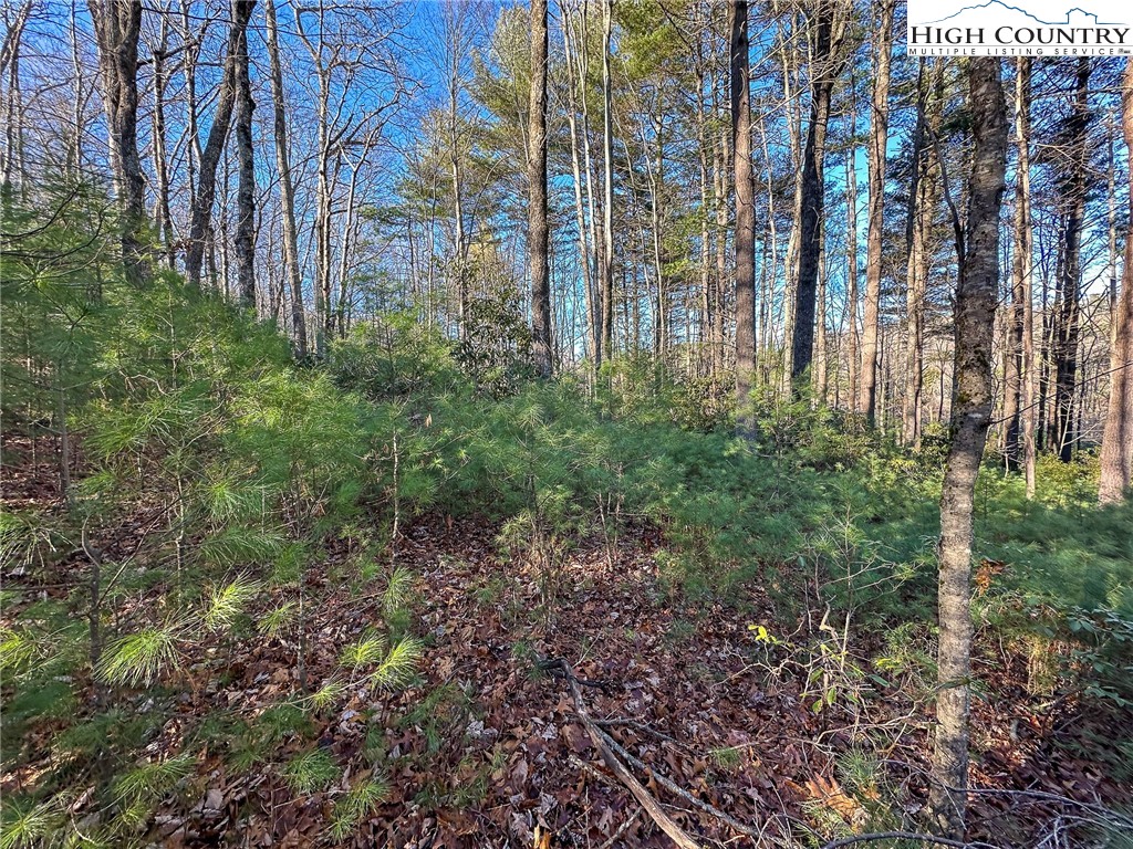 TBD Hidden Spring Extension