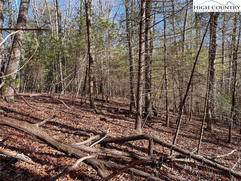 TBD Hidden Spring Extension