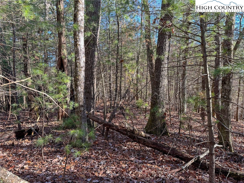 TBD Hidden Spring Extension