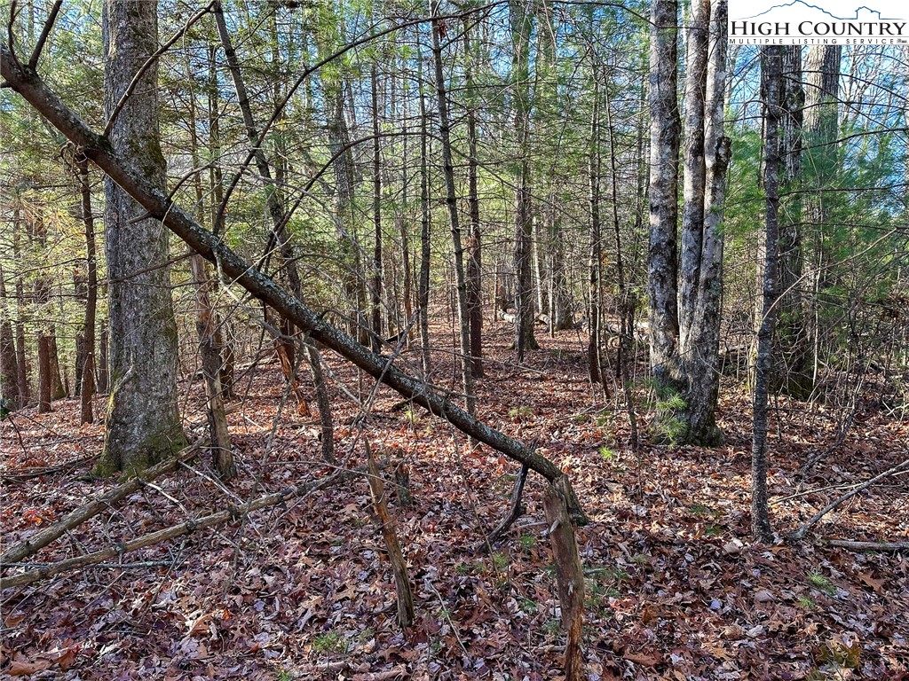 TBD Hidden Spring Extension