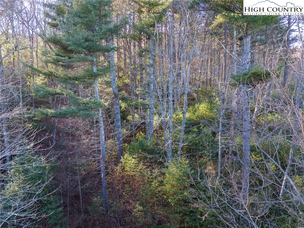 TBD Hidden Spring Extension