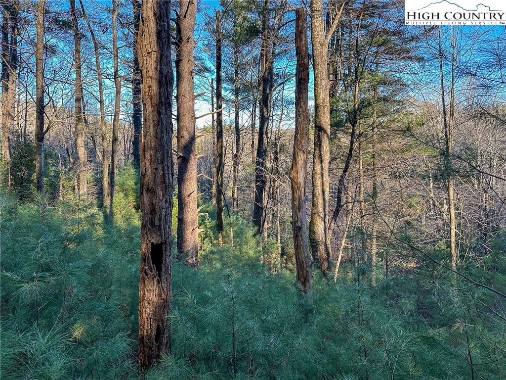 TBD Hidden Spring Extension