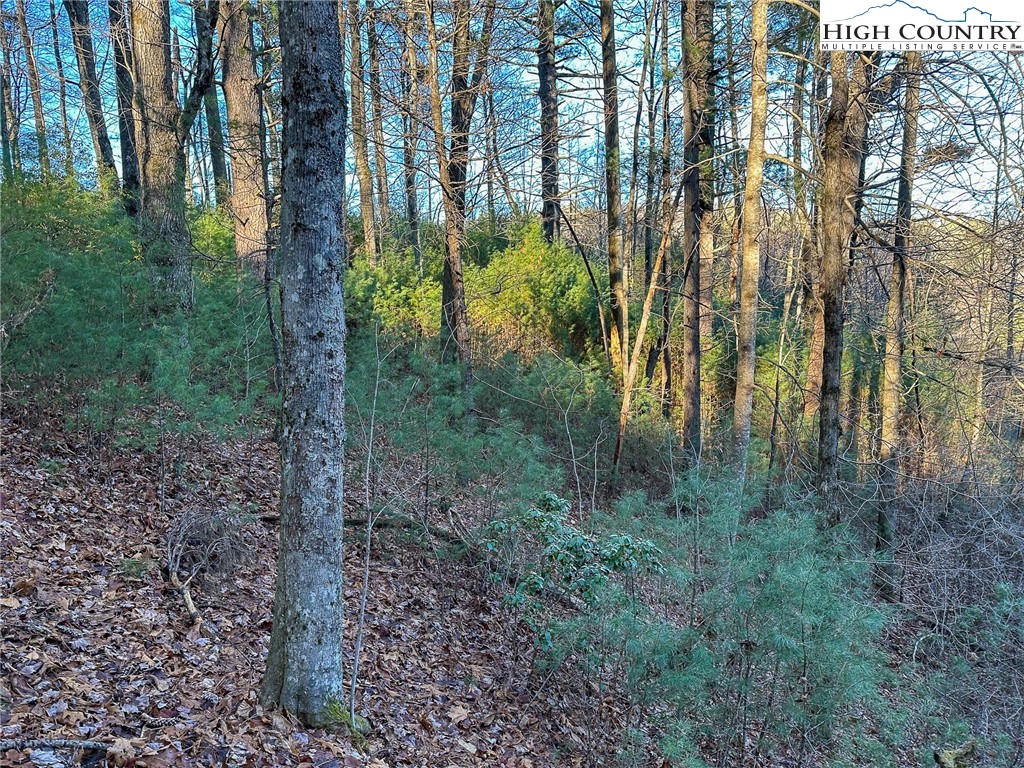 TBD Hidden Spring Extension