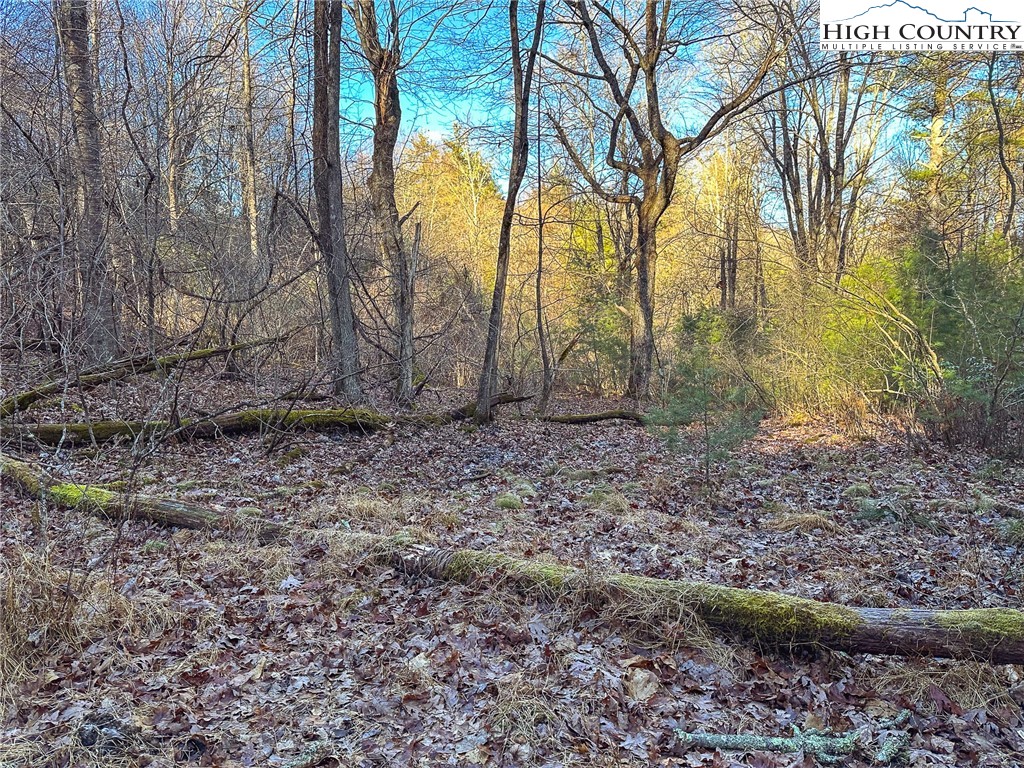 TBD Hidden Spring Extension