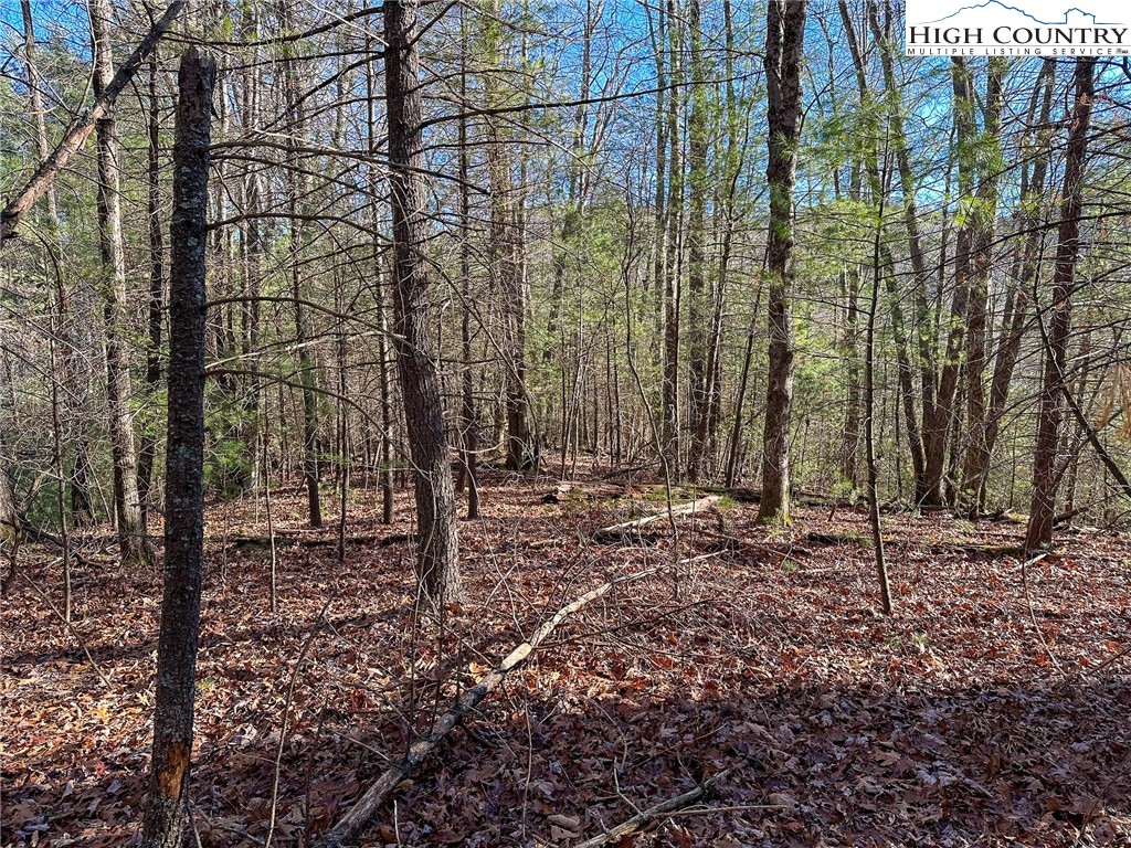 TBD Hidden Spring Extension